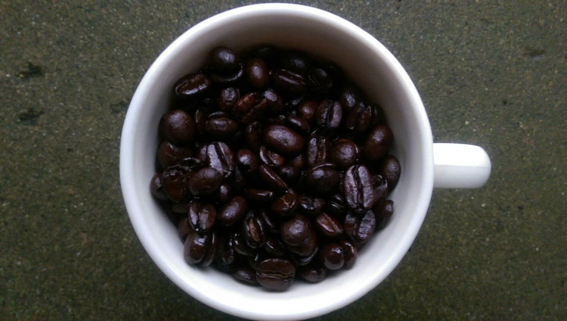 April's Welcome Coffee: Cloudburst Blend Fresh Roasted Online Coffee Chicago Illinois