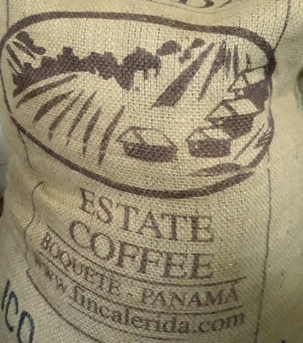February's Exploration Coffee: Panama Boquete
