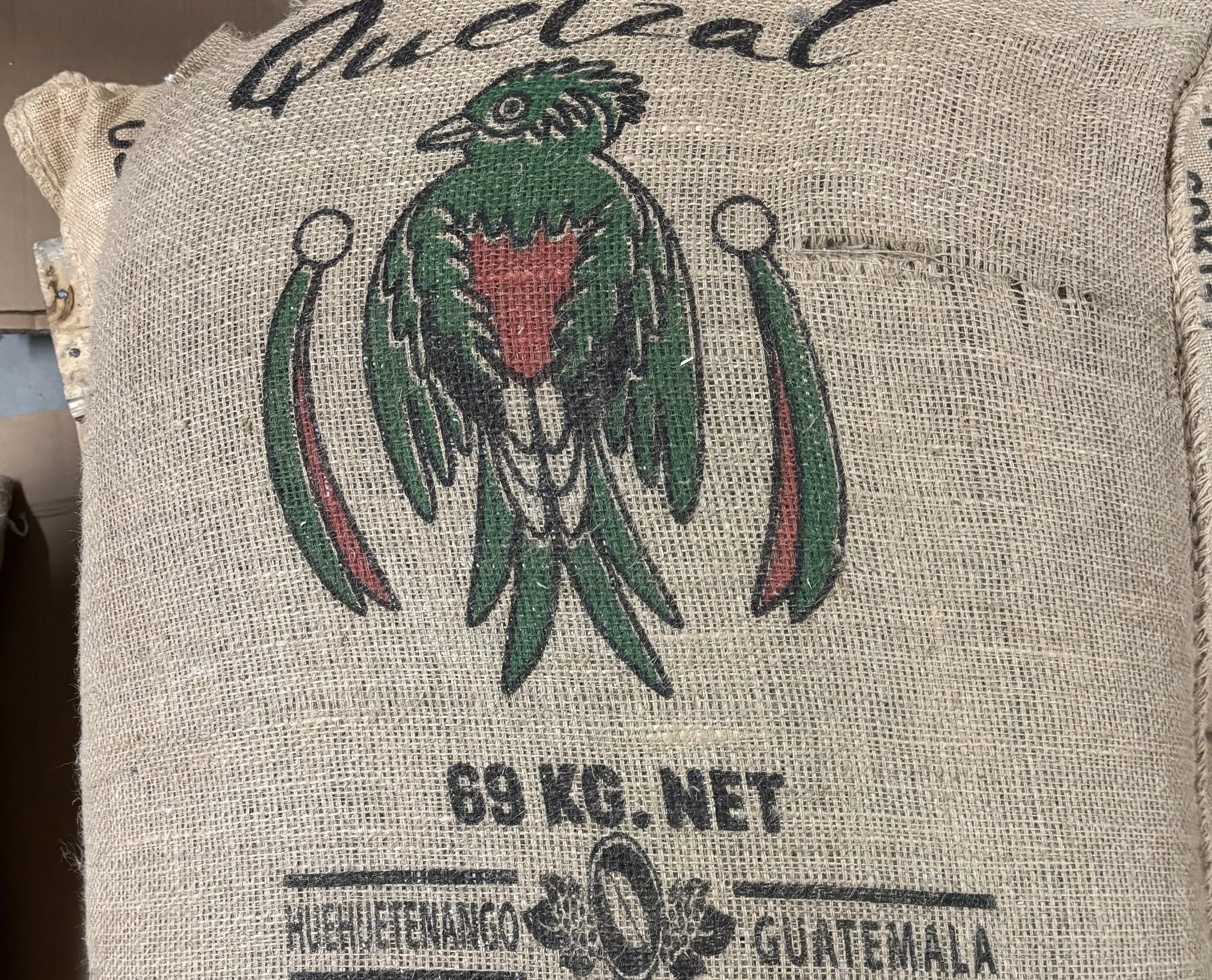 Guat Quetzal HHT cropped.jpg