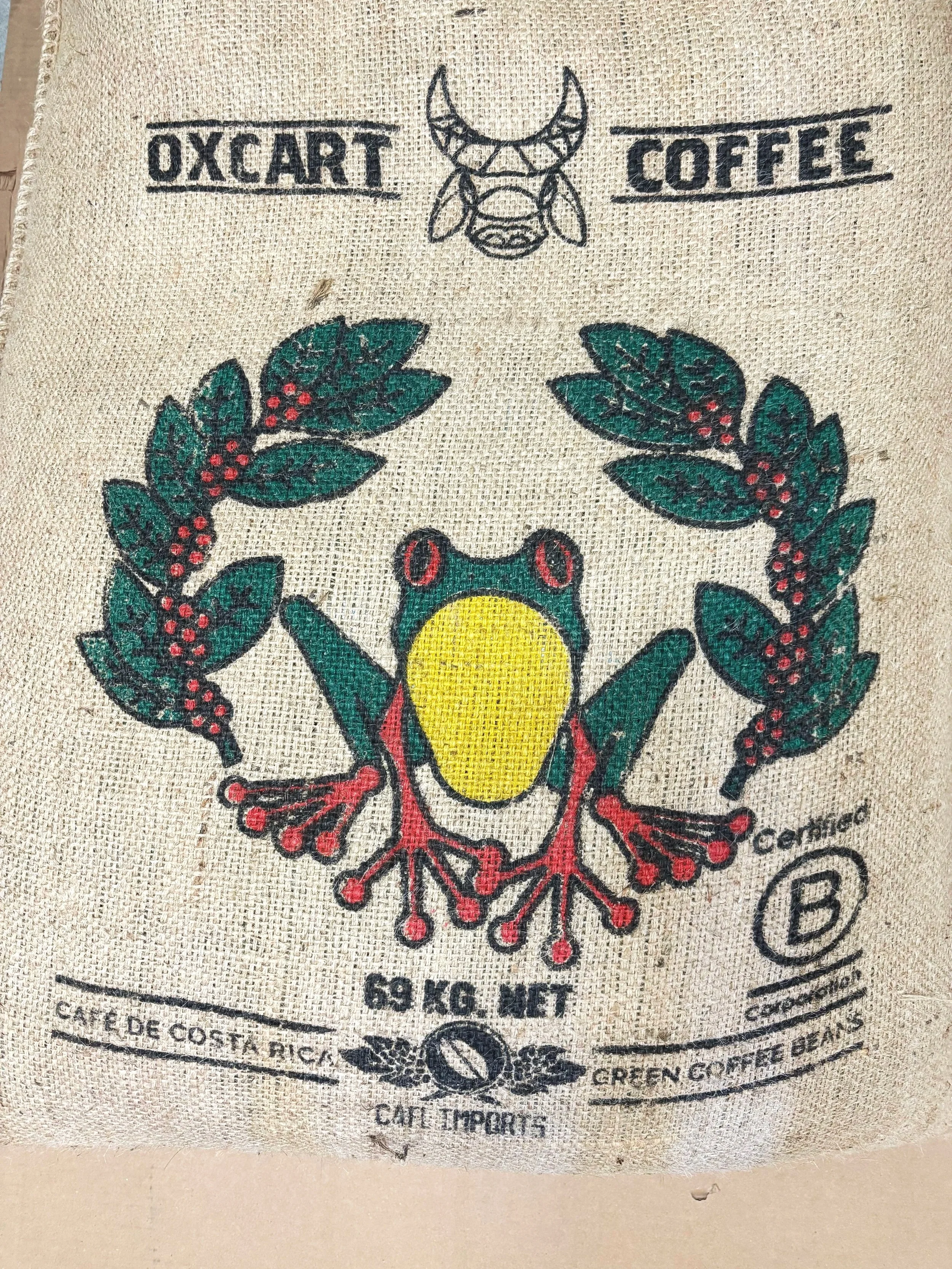 Costa+Rica+Cafe+Frog+2026.jpg