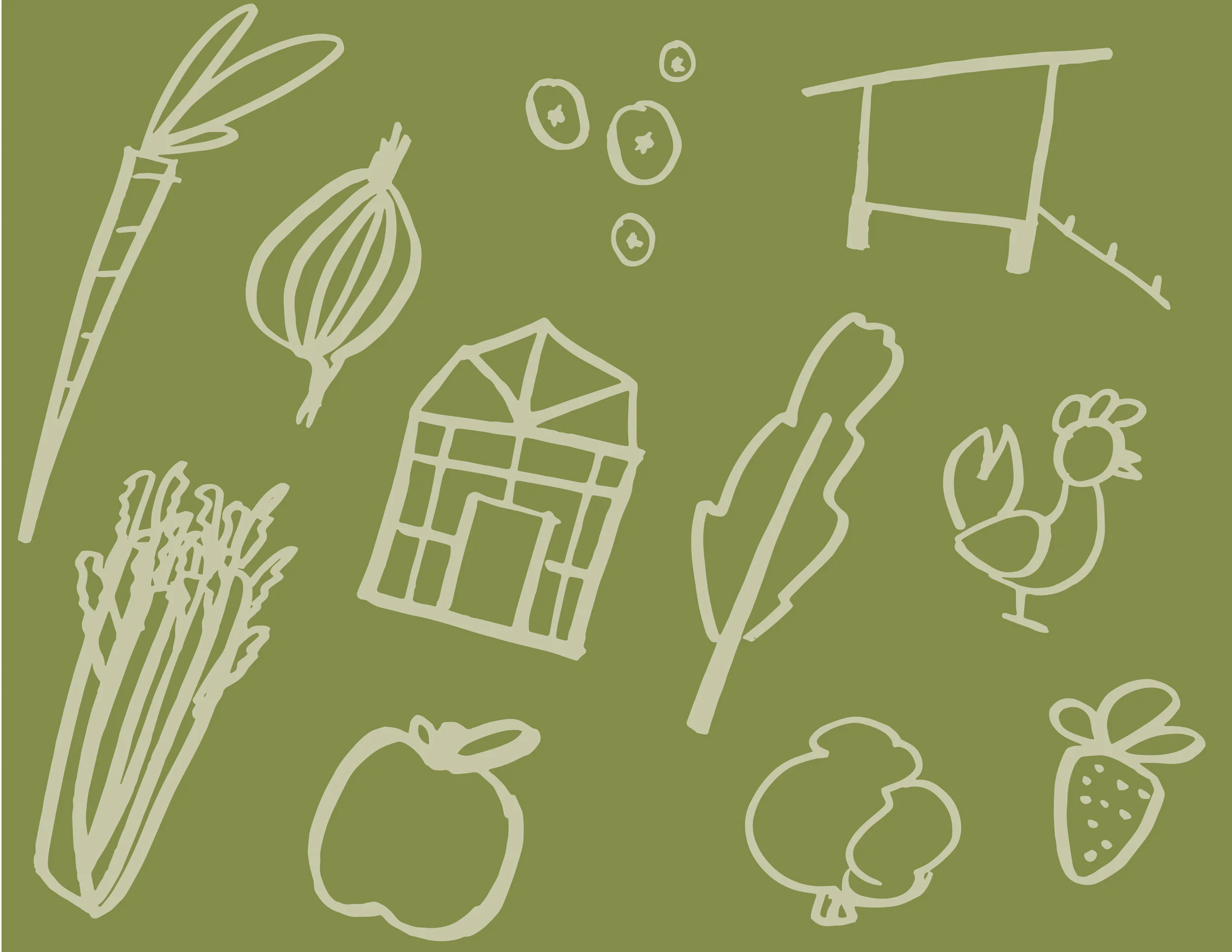 GrassRoots_Illustration_Sketches-13.jpg