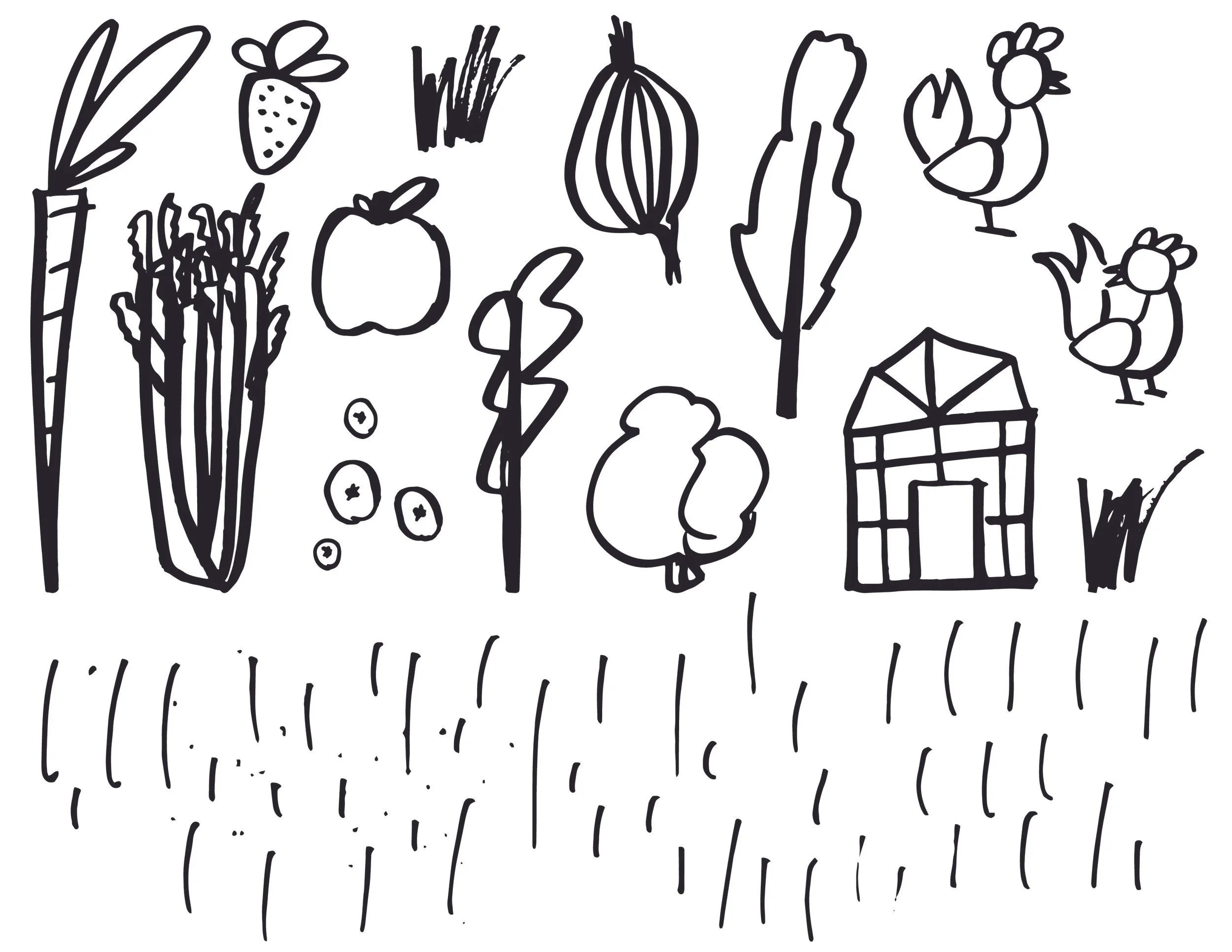 GrassRoots_Illustration_Sketches-18.jpg