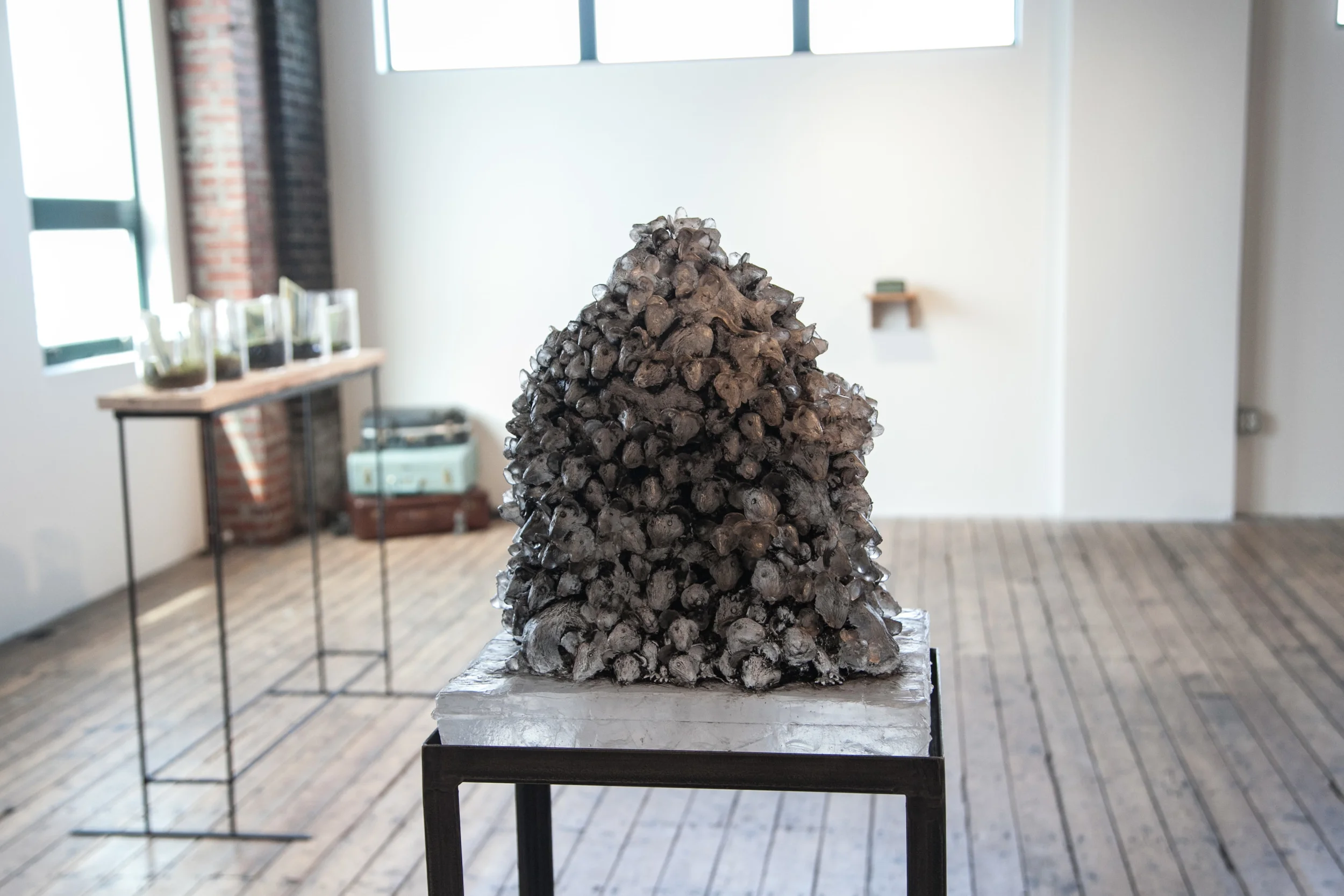 “The Mice are Jeweled” 2014