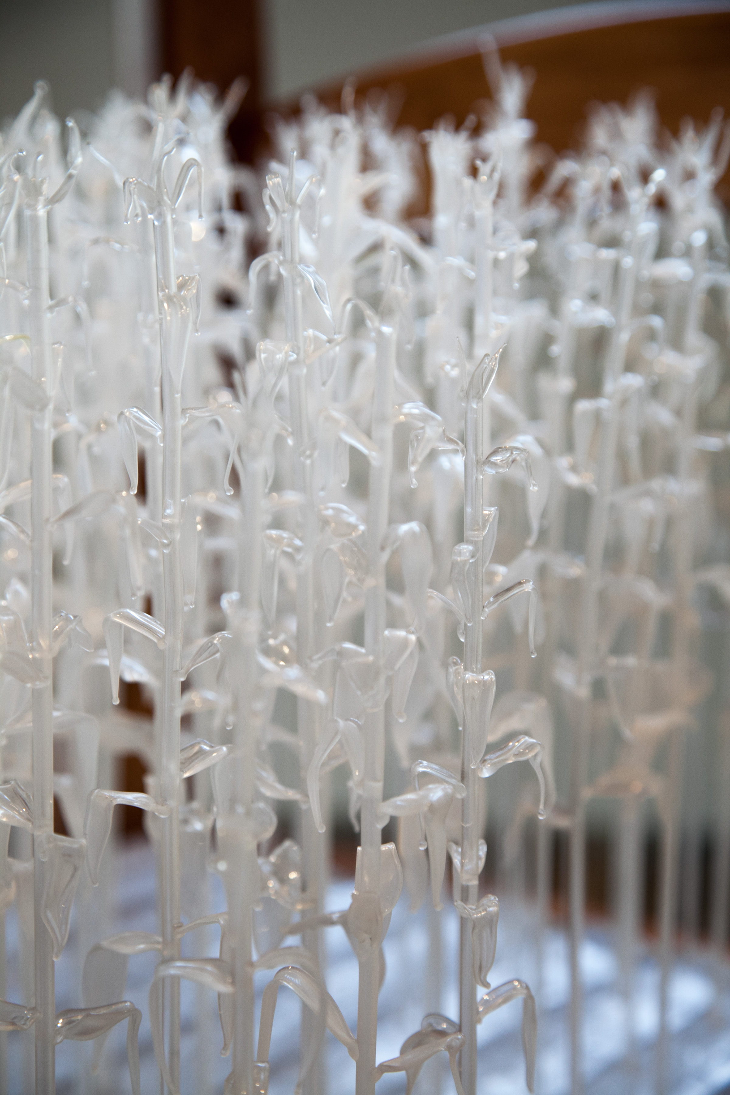 Detail “Modified Consumption”