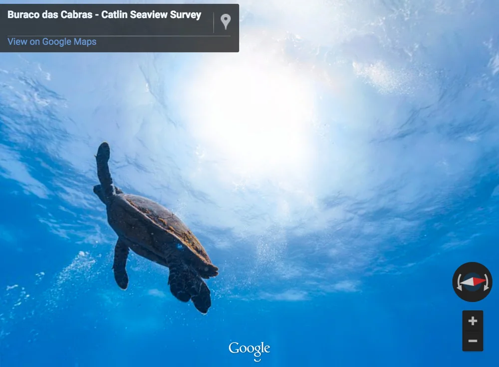 google_fishview.jpg