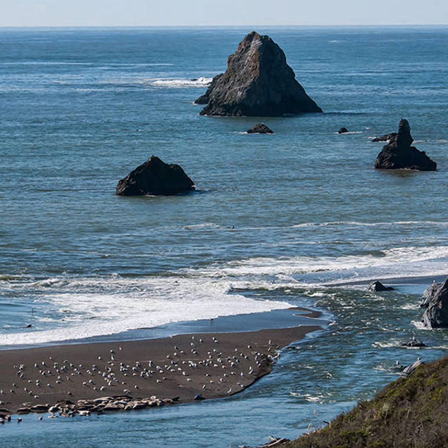 The Blue Lotus Sonoma Coast Vacation Home