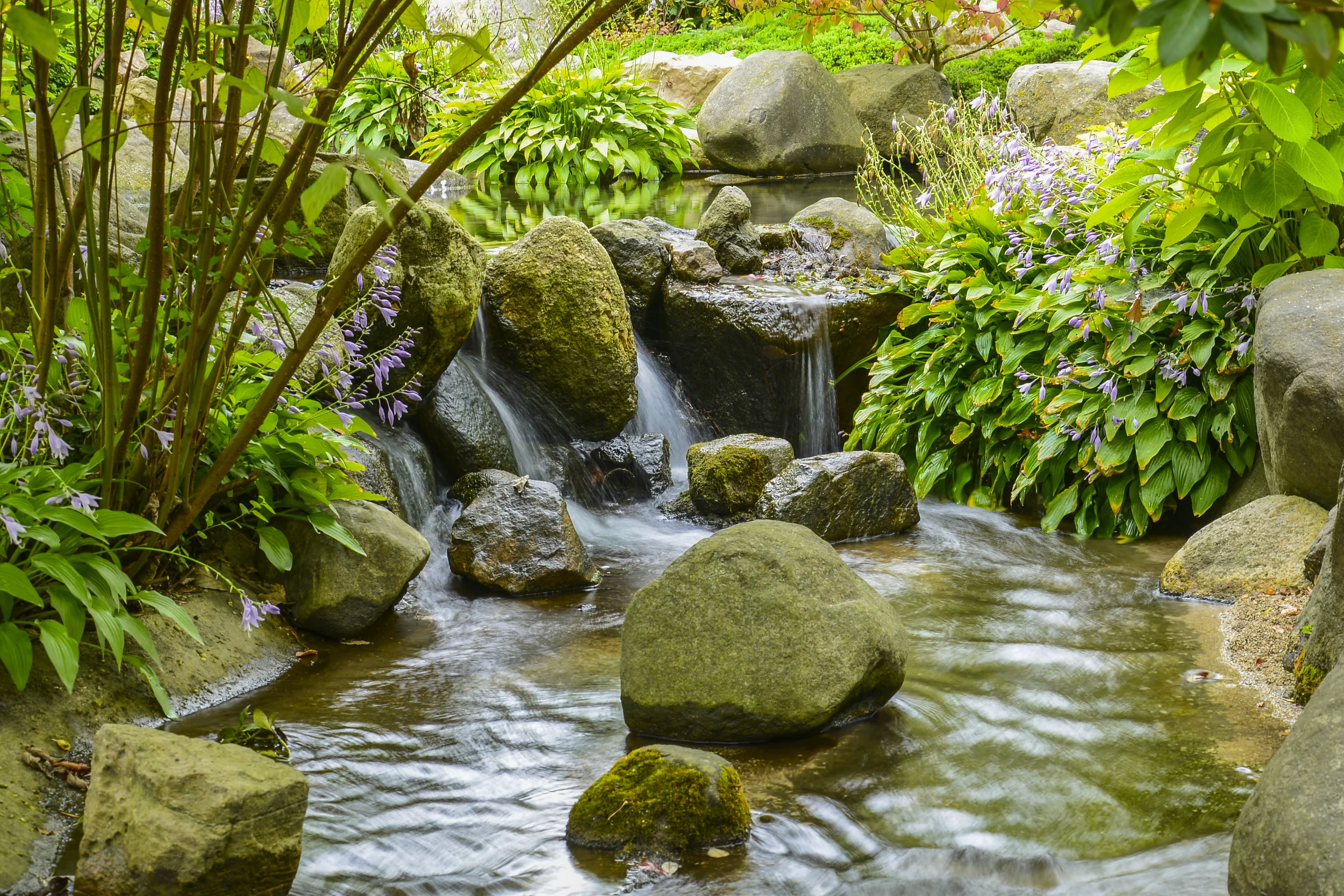 DSC_2771.jpg