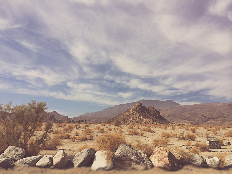 Cali Desert-1.jpg