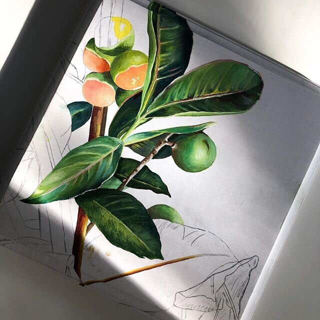 Setting up my palette to finish this up... busy as always, but I&rsquo;m so close to finishing. ❤️ #Quenepas #limoncello #skinup #guinep
⠀
⠀
⠀⠀⠀⠀
#Godisgood #artforinteriors #calirican #homedesign #tropicaldecor #puertorico #hawaii #caribbeanart #oil