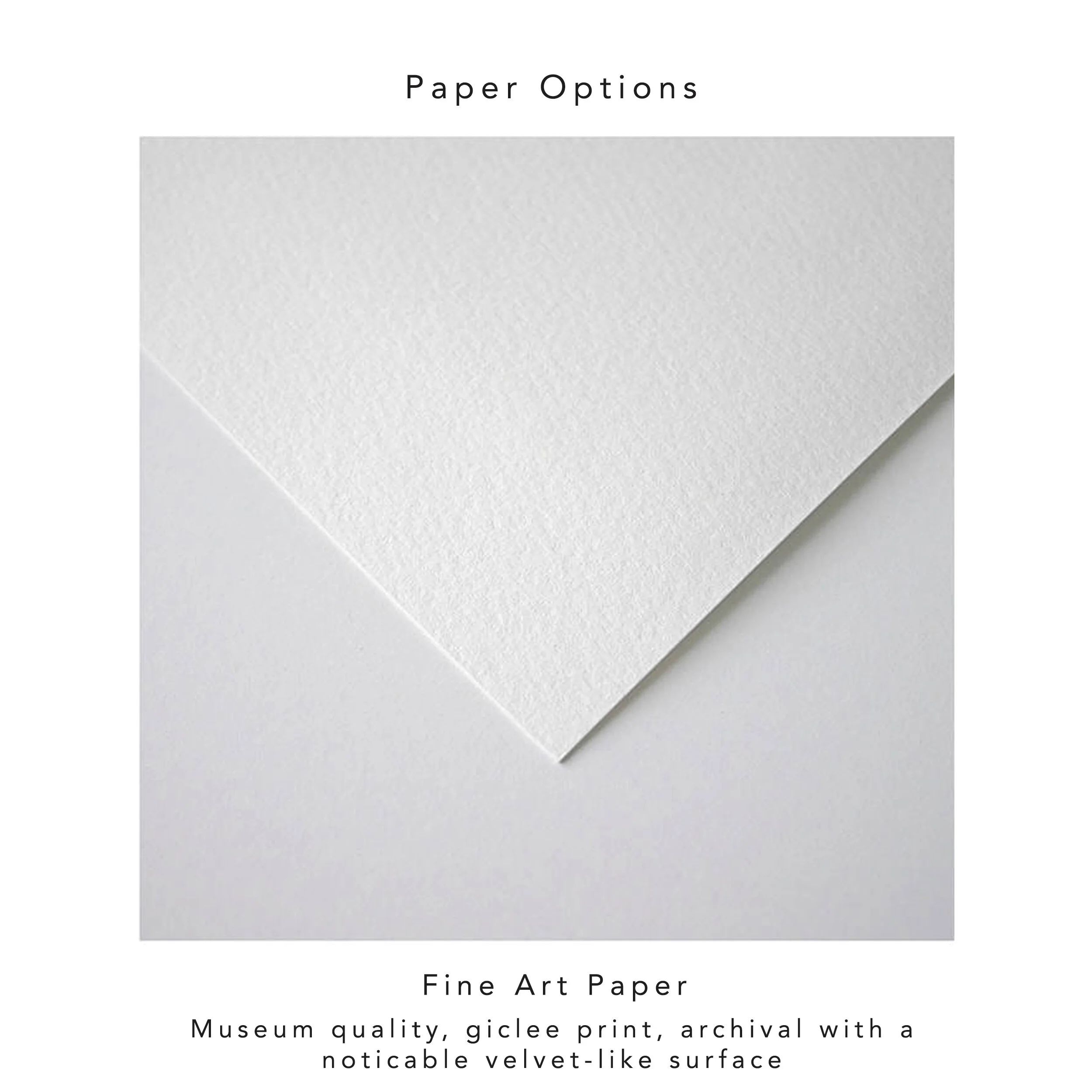 Giclee Paper Option _ Puertoricanart.jpg