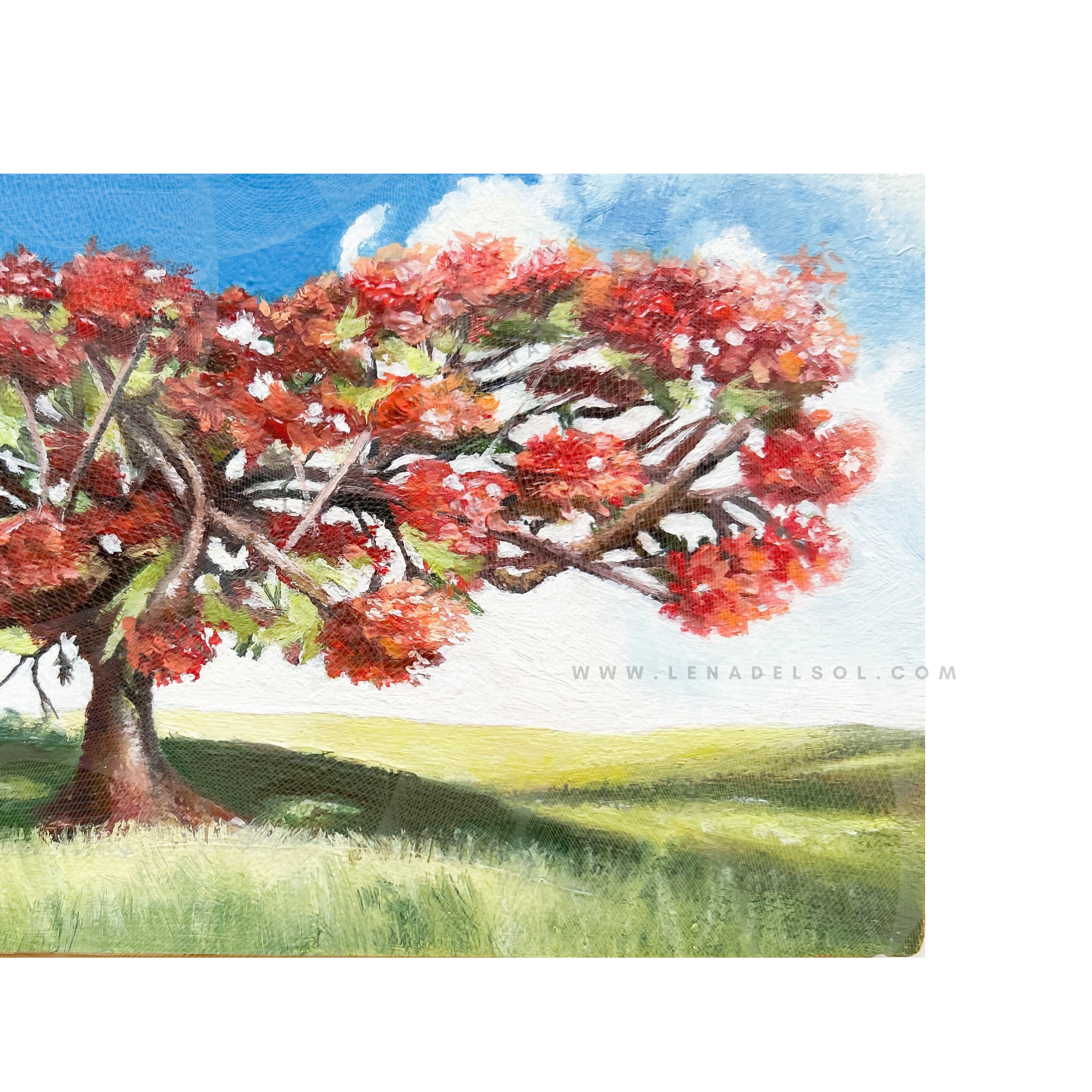 0CF13F9F-4990-43A0-861C-7BD9E7ACFD03