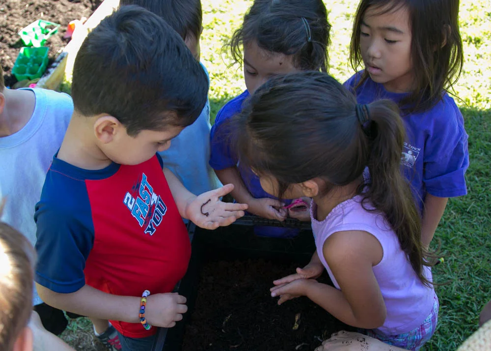 STEAM — Hastings Ranch Nursery School