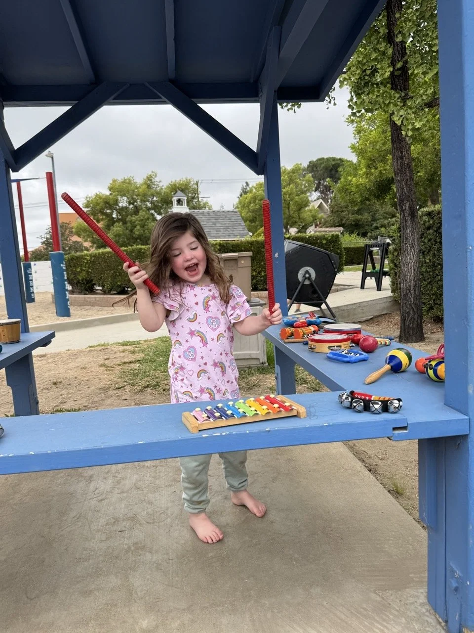 Yellow Door 2025-2026-All photos-73991541670.jpg