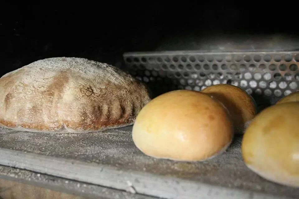 Bröd bak