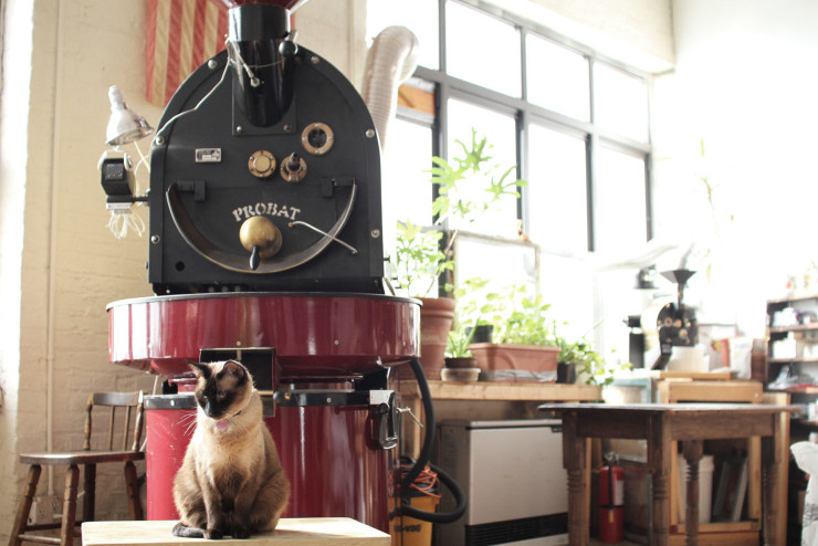 I flagrantly stole this picture of the Probat roaster and cat at Lofted from the Sprudge article. You should go read that article too. Their pictures are way better than mine.