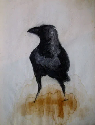 crow-studies--(1).jpg