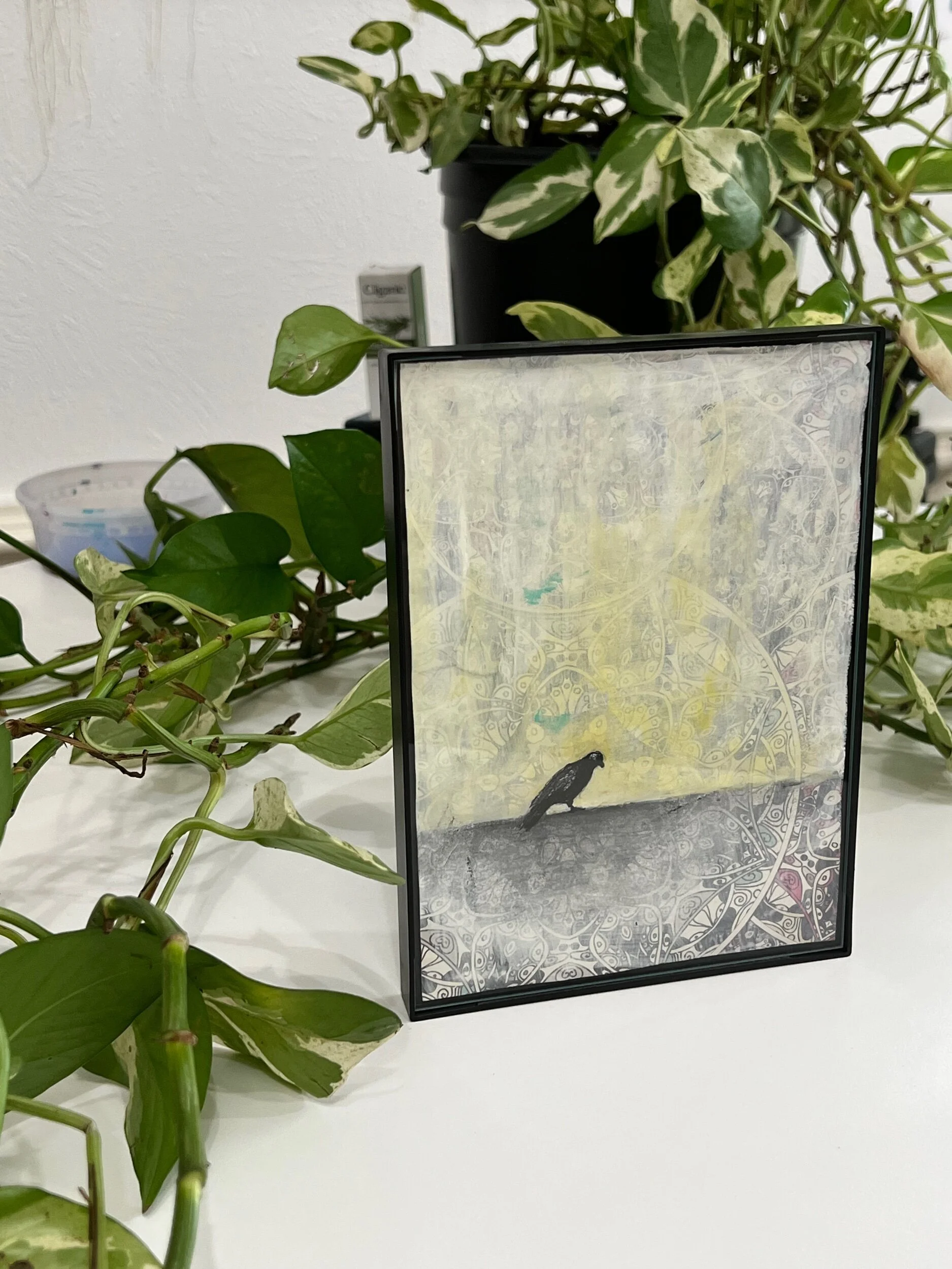 44878386-BA4C-47EC-A85D-69078FC2ABA0