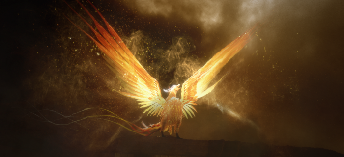 Grimbergen_thumb_SQSP_04.png