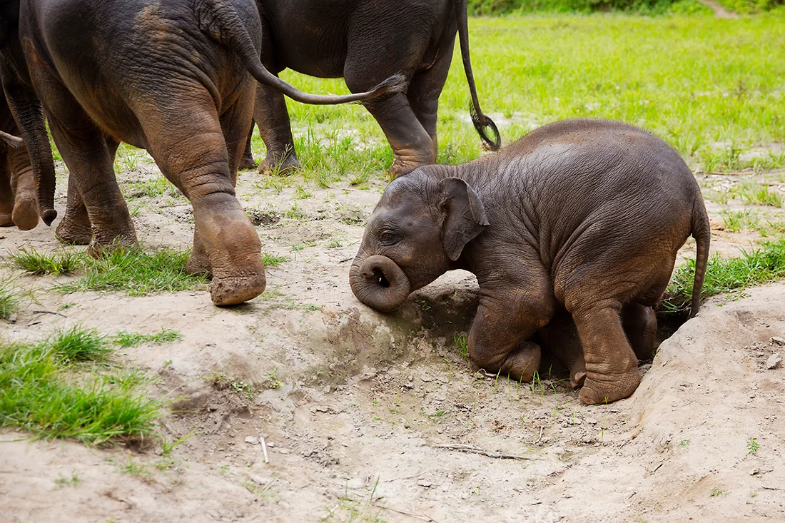 Sometimes you just have to stop and take a nap.