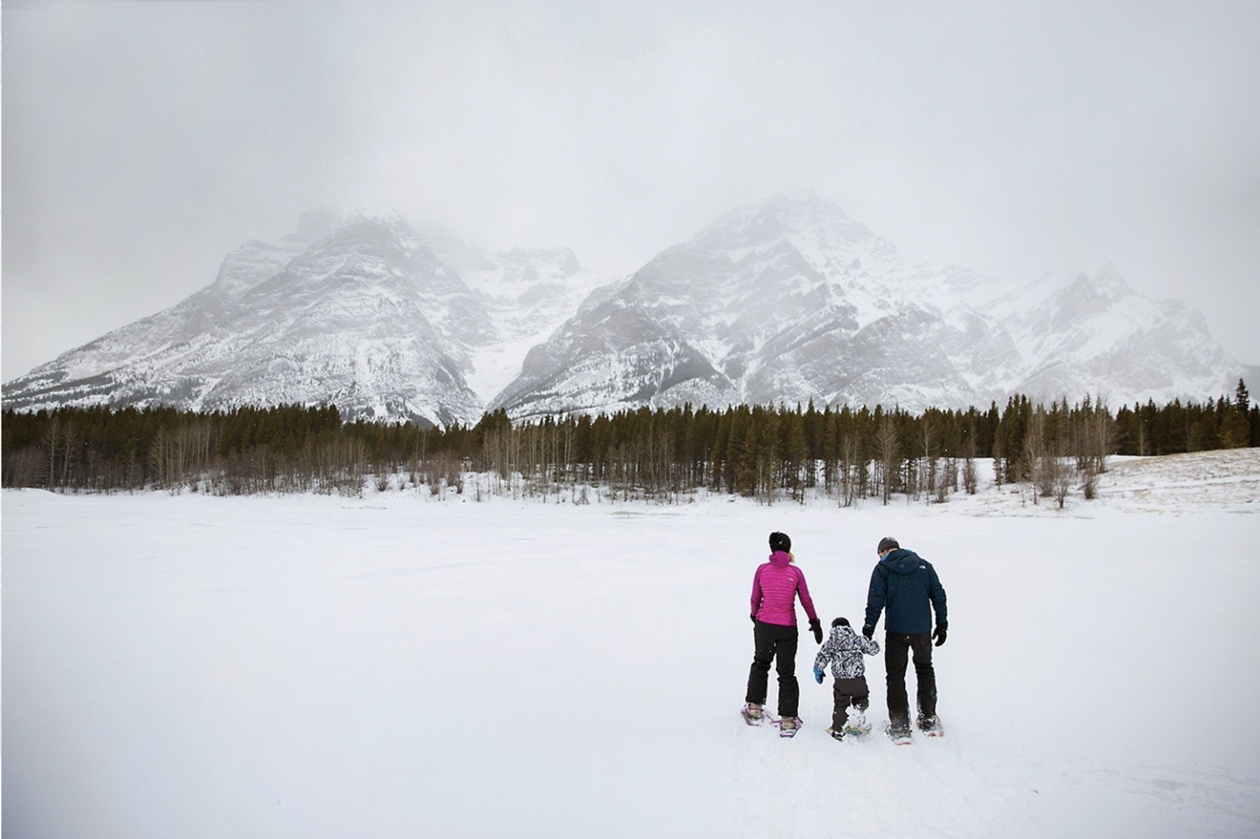 Screenshot 2025-06-17 at 3.09.53 PM.png