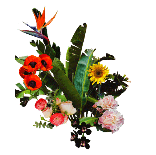 flower-district-5.gif