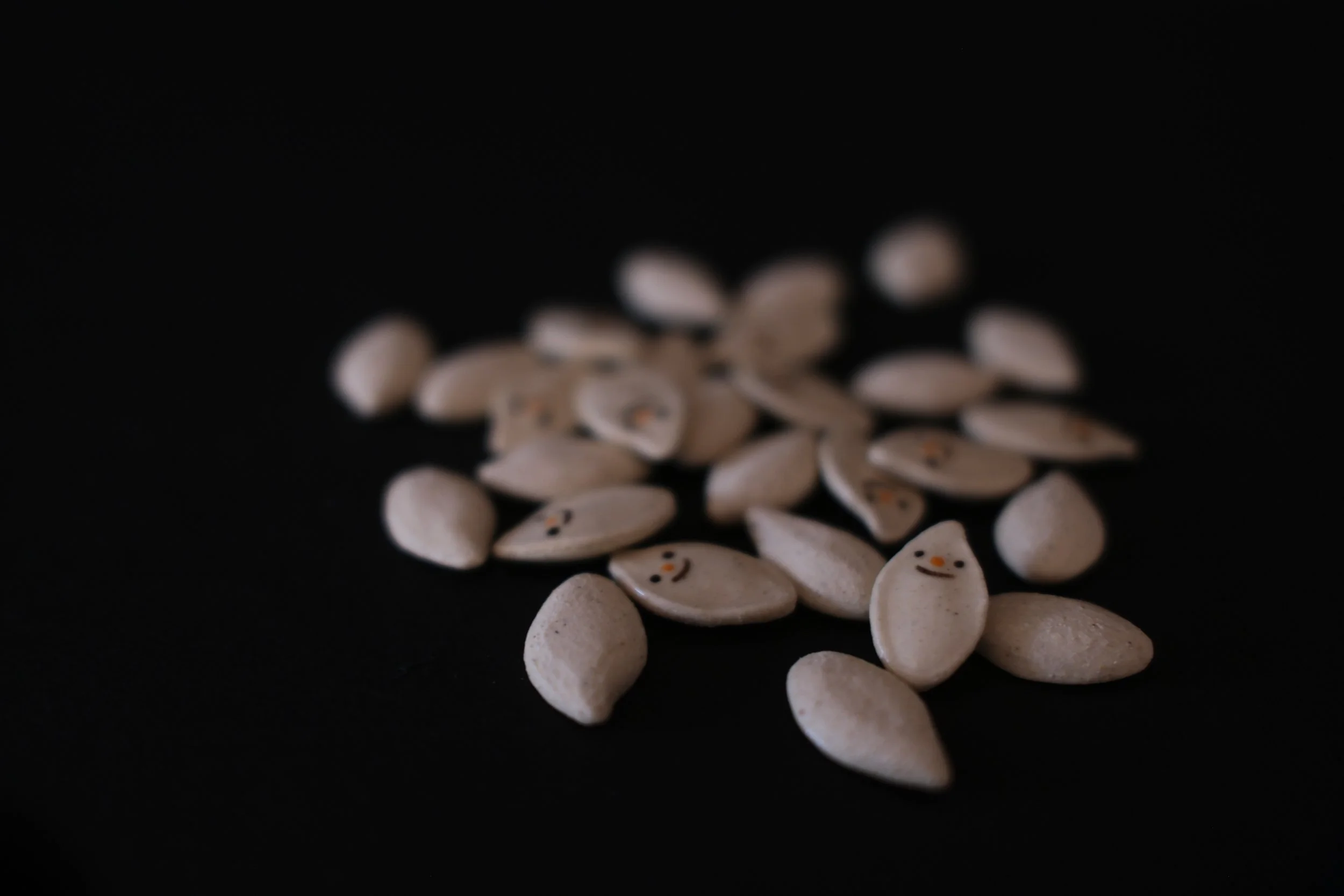 seeds4.jpg