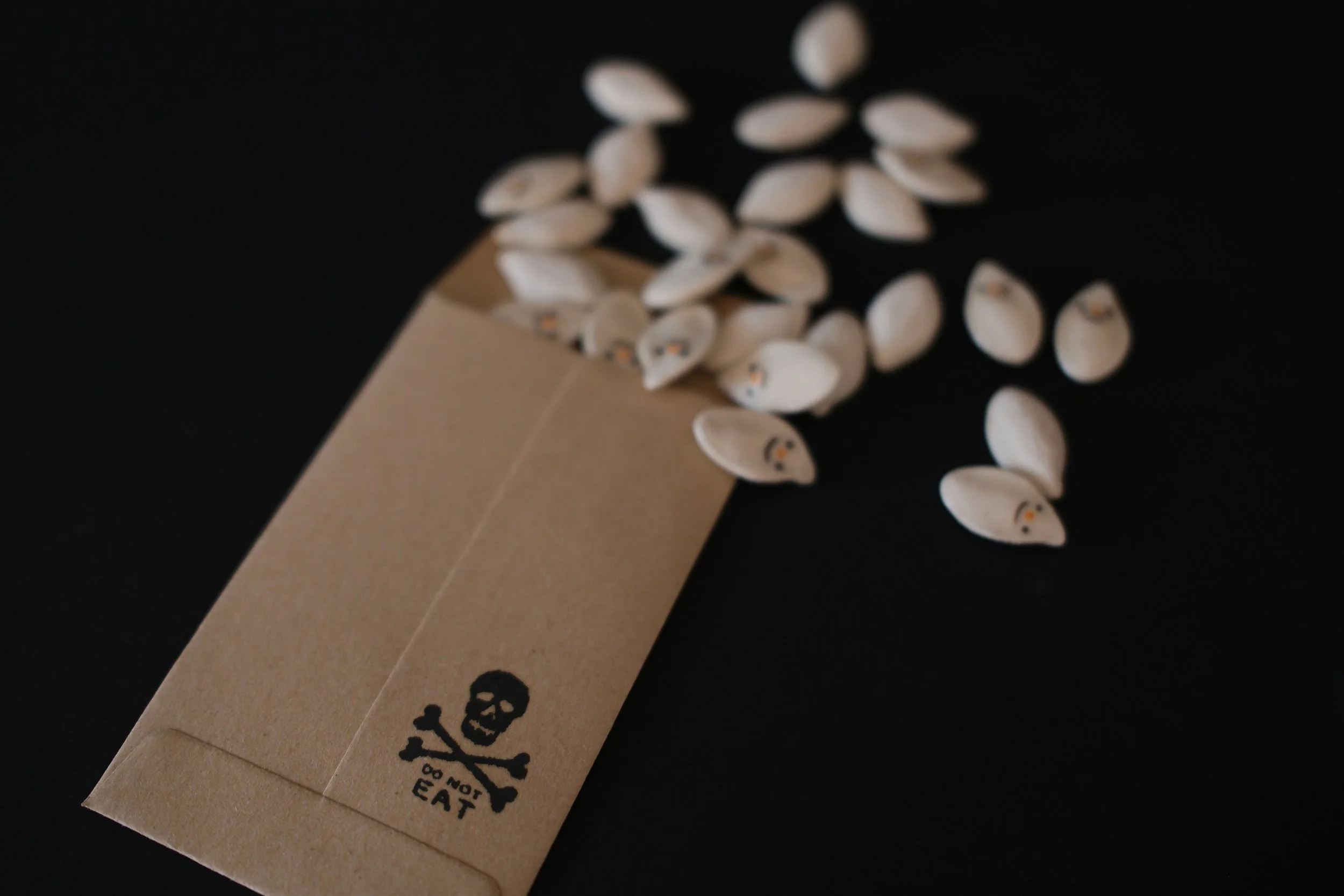 seeds3.jpg