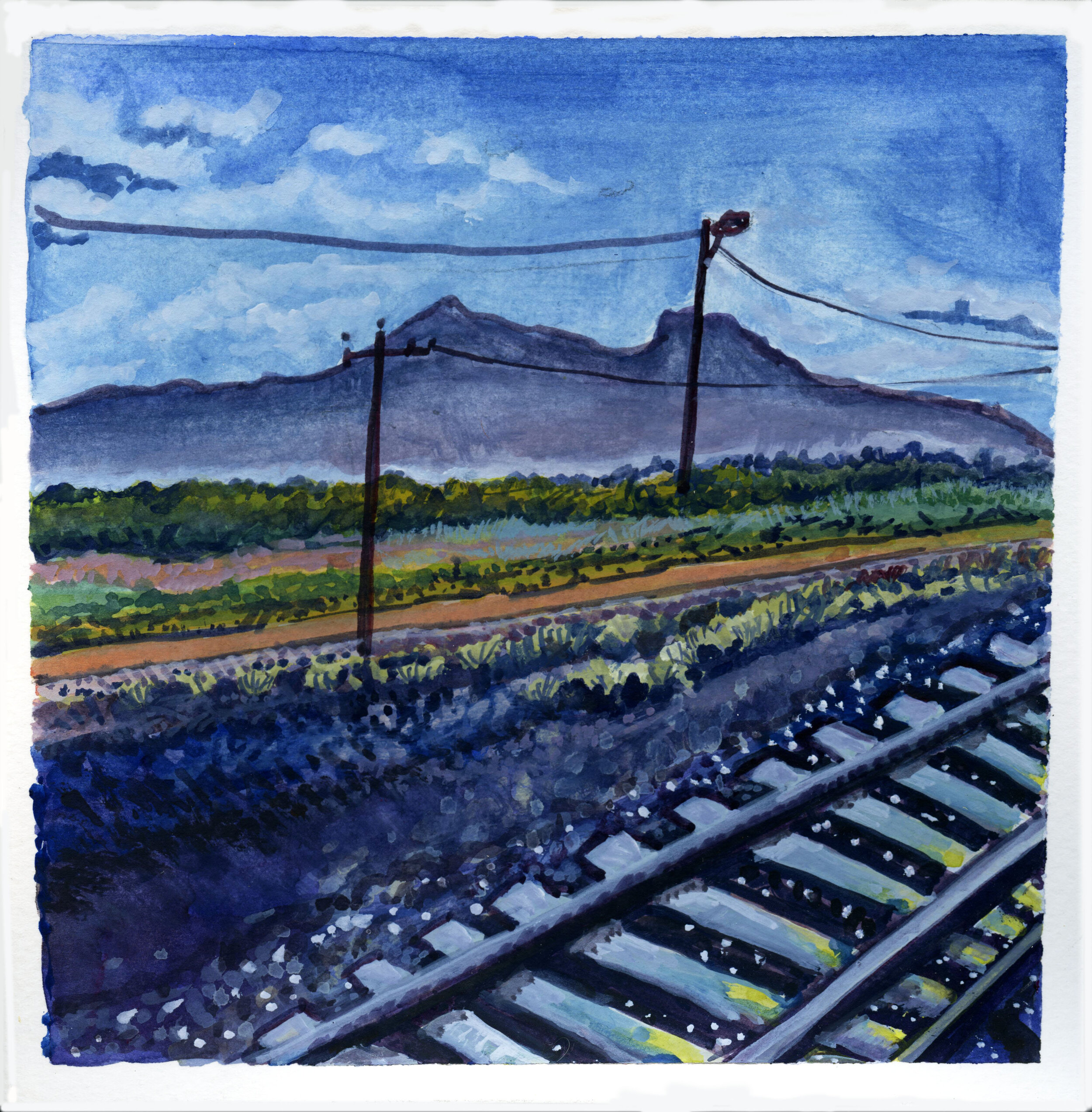 sunsetlimited.jpg
