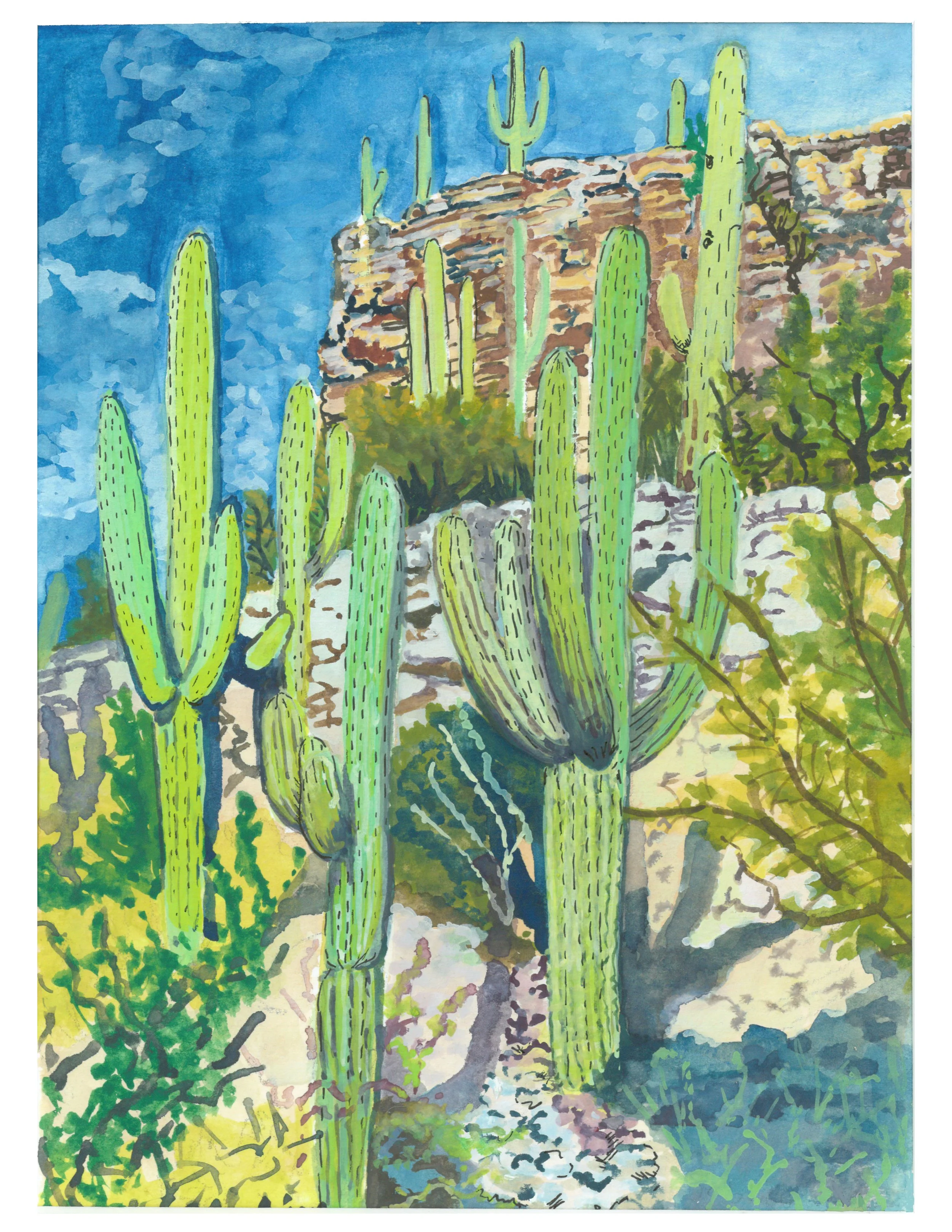 Sabino Canyon print