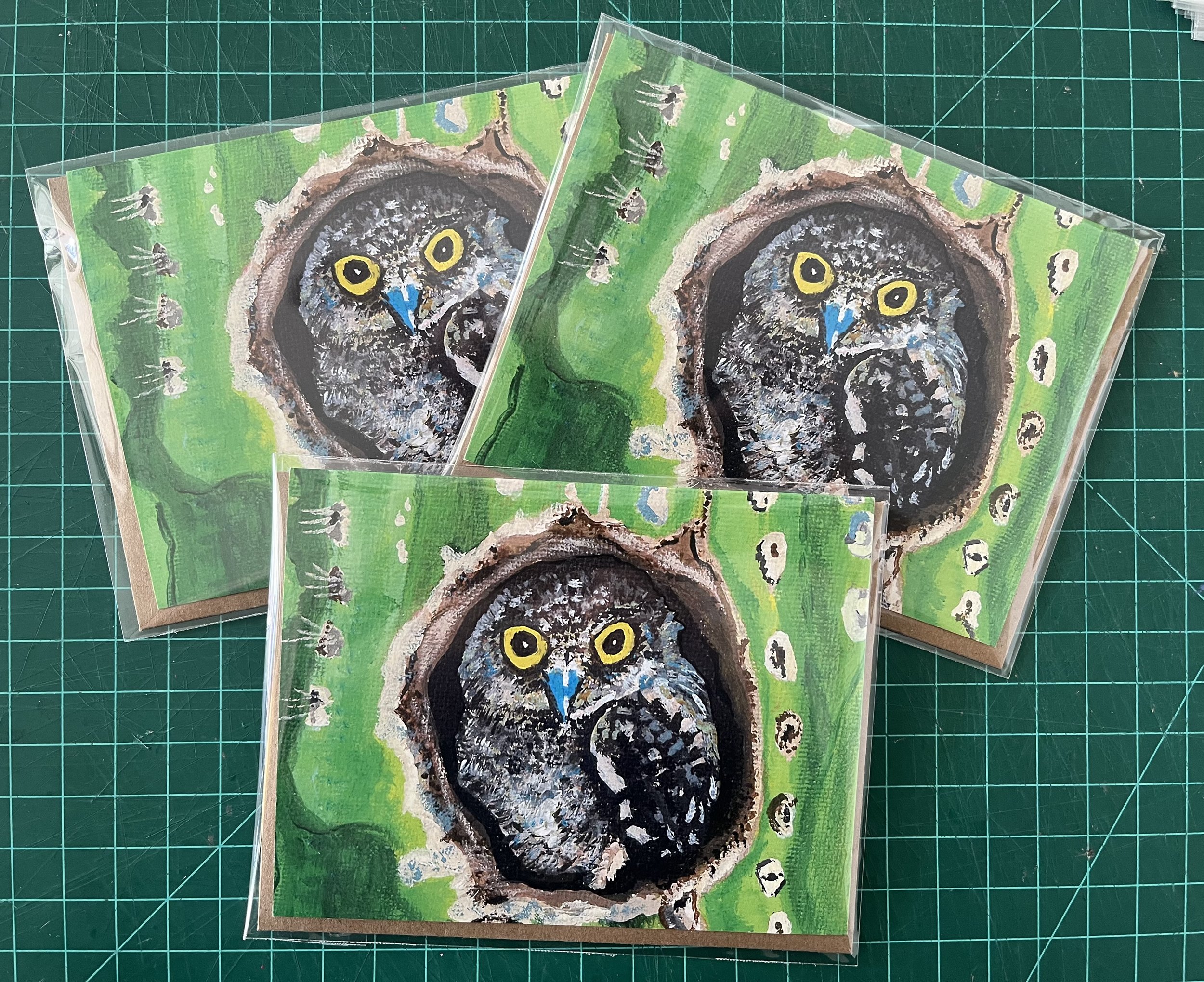 Owl Greeting Cards (3 pack)