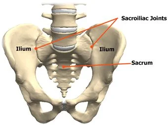 This shows the sacroiliac joints which are located between your spine and hip bones. the pubic symphysis, which is not labelled in the picture above is also a joint that can cause a lot of pain, esp during pregnancy. 