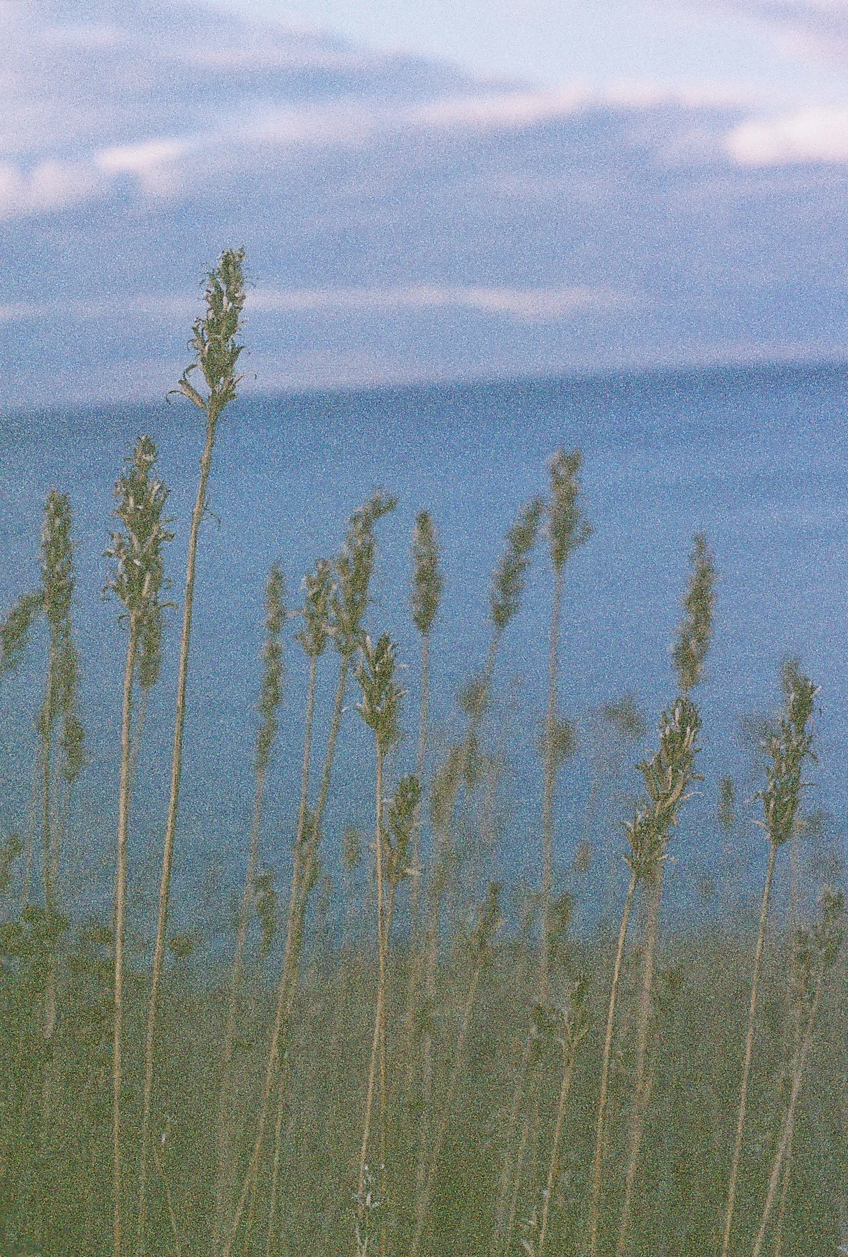 R1-03783-0002.jpg