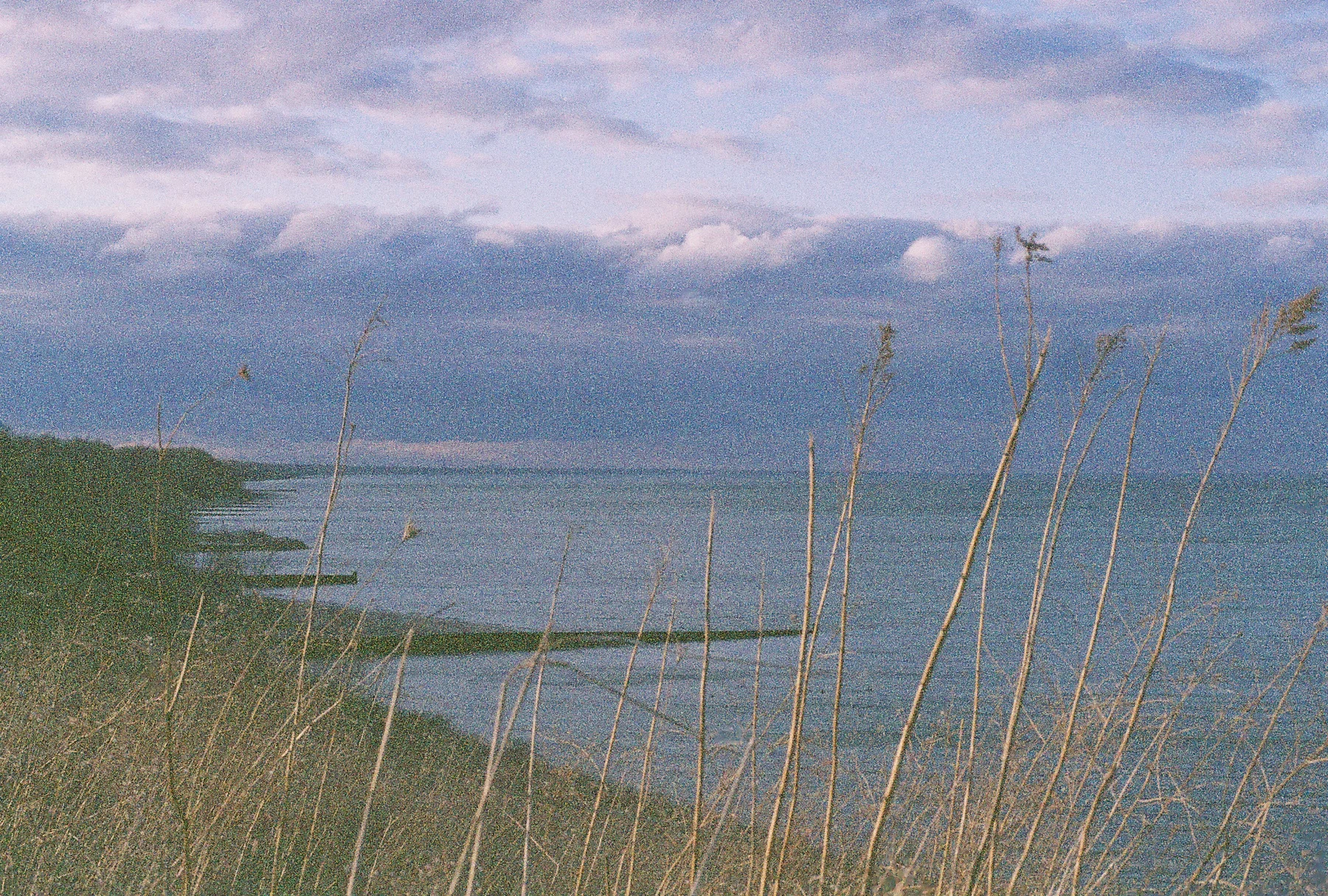 R1-03783-0001.jpg