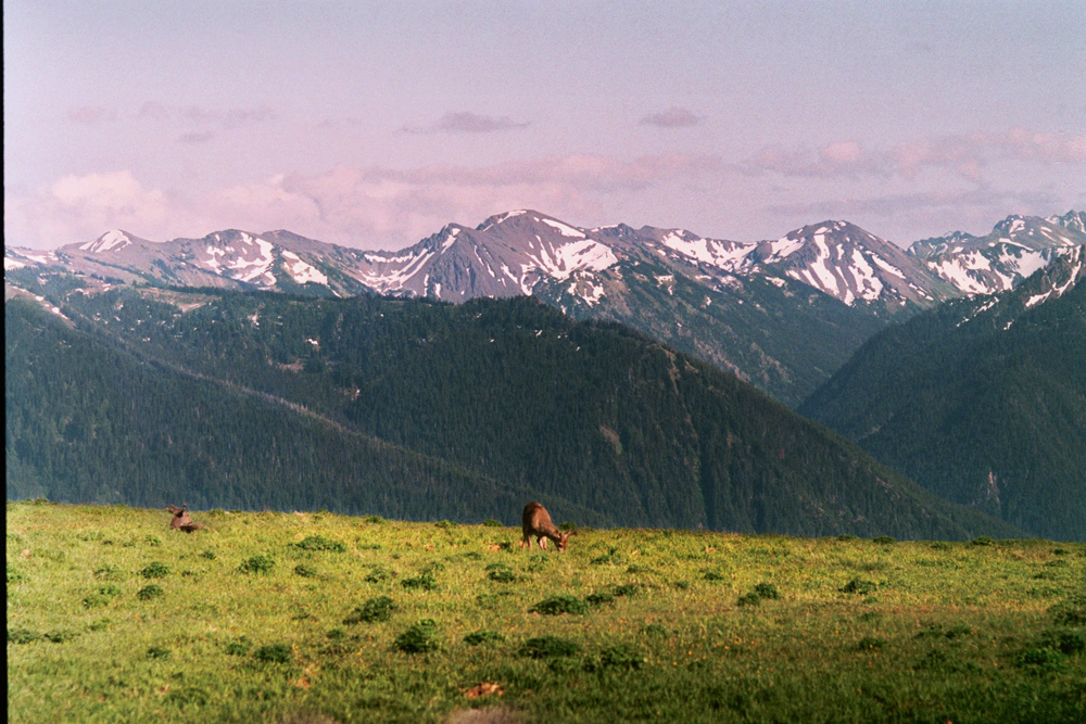 MOUNTAIN_SCENE_EDIT.jpg