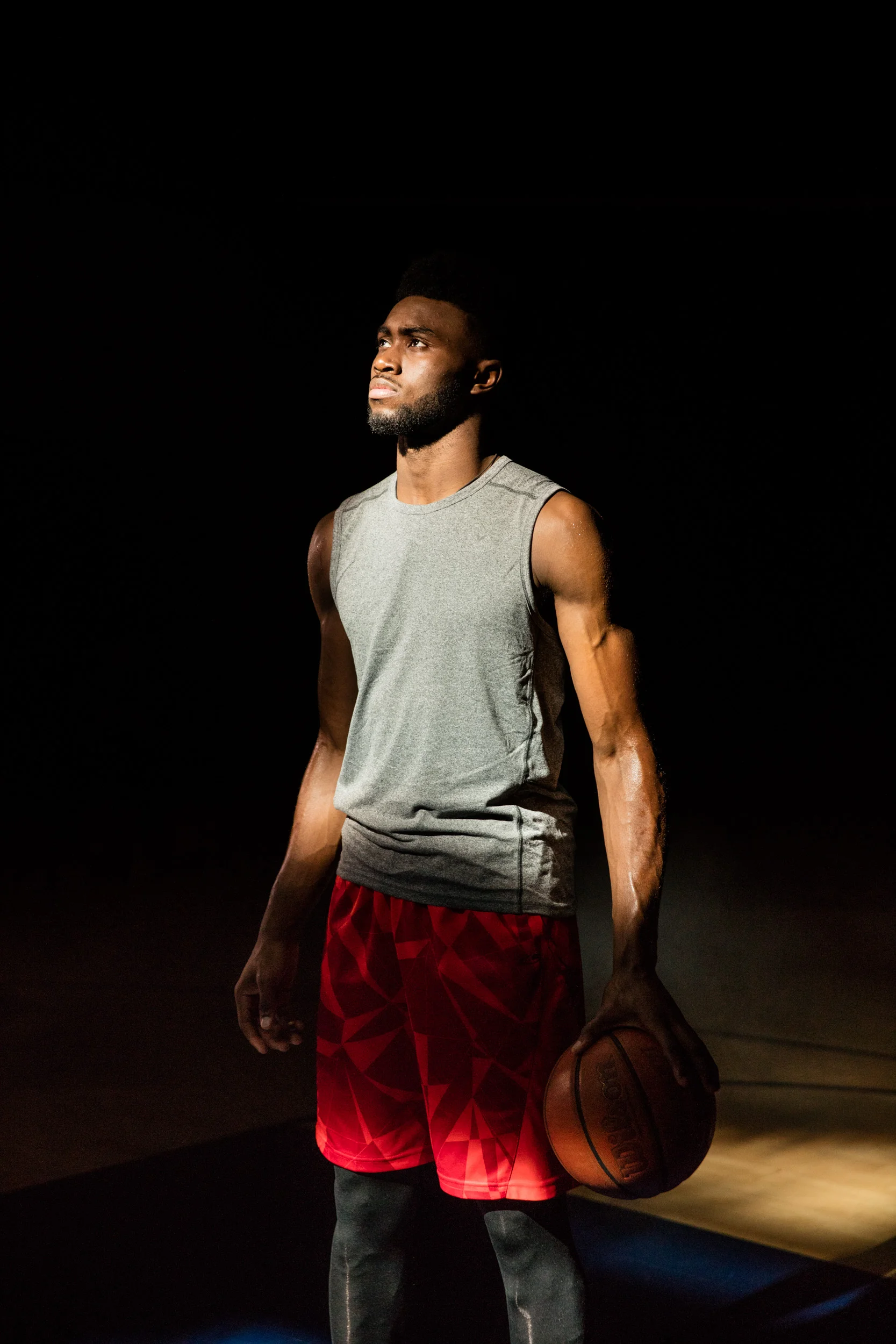 Jaylen Brown NBA Player