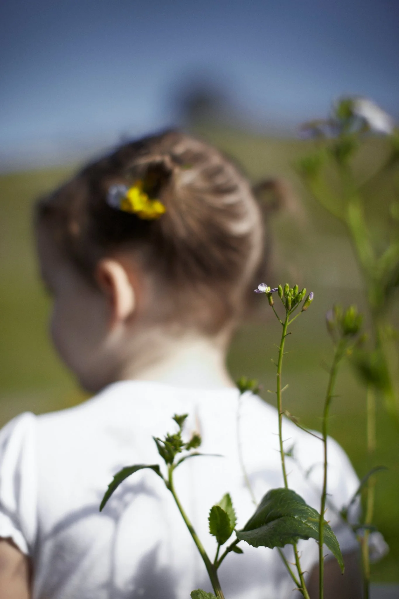 Start Fresh: Your Child's Jump Start to Lifelong Healthy Eating: A Cookbook