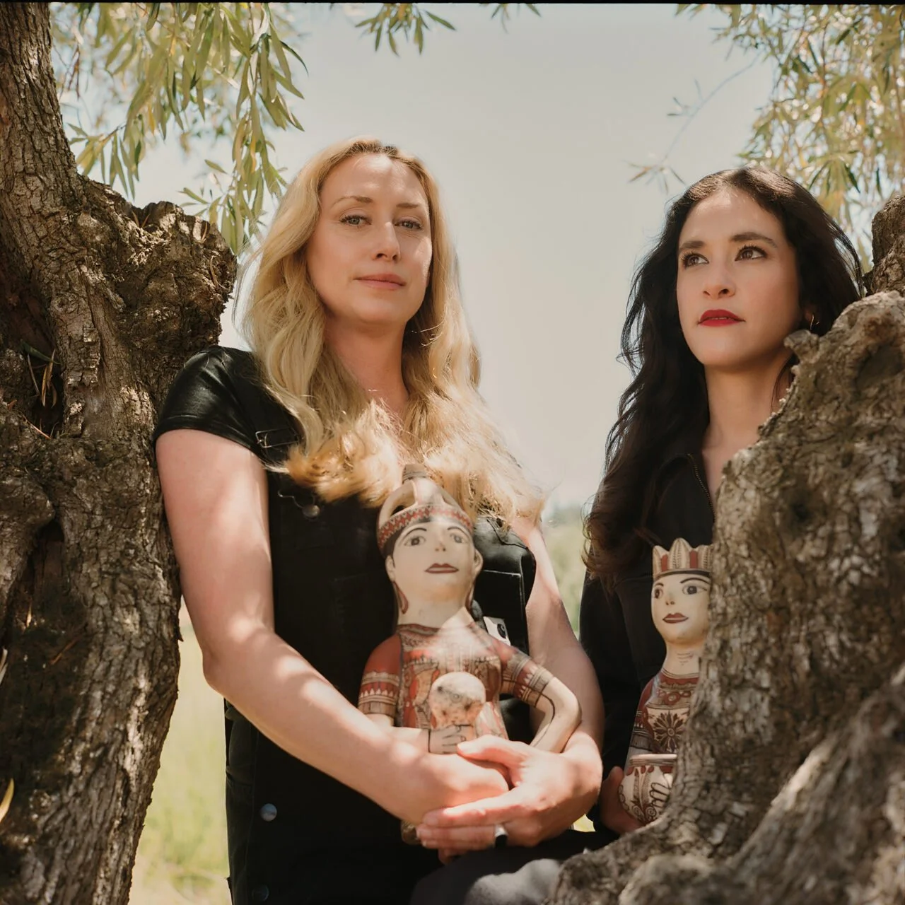 This Sonoma Ranch Came With Some Unexpected Guests