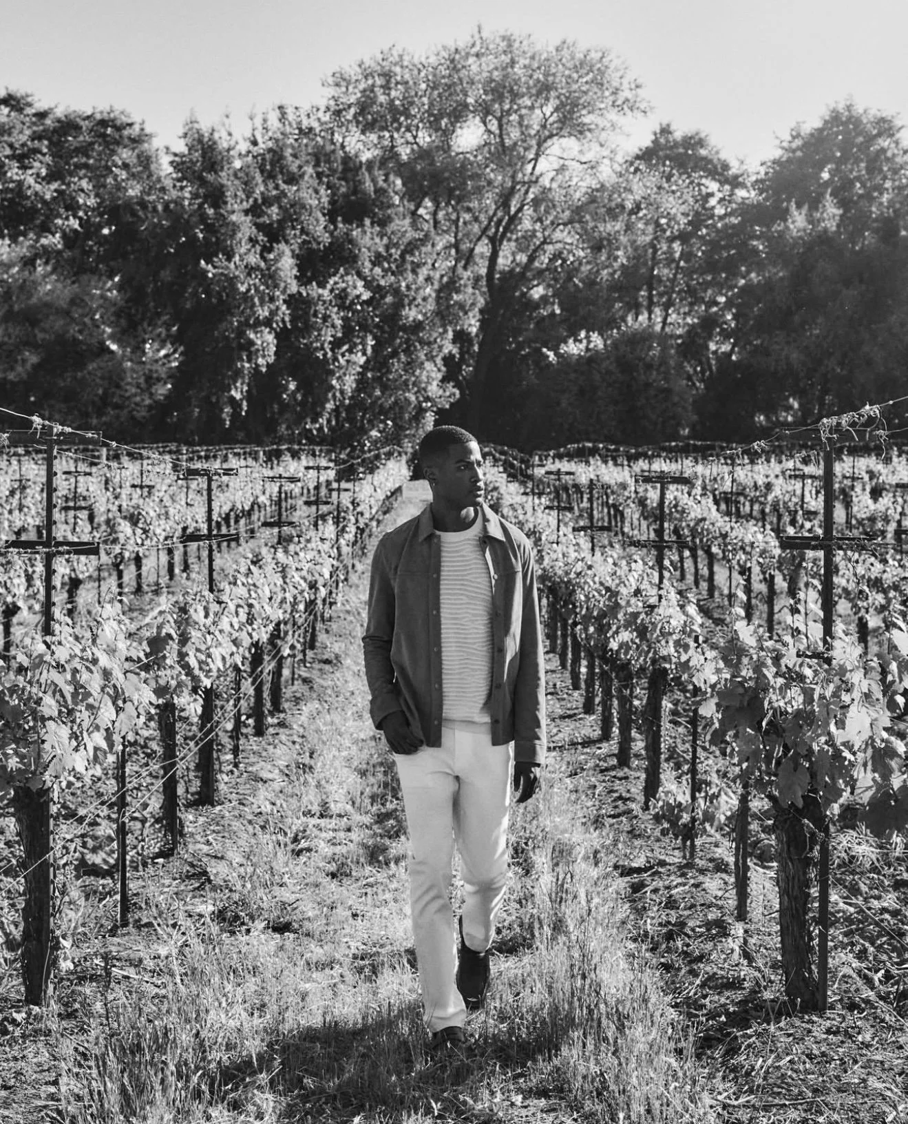 Bugatchi Vineyard Fashion Shoot