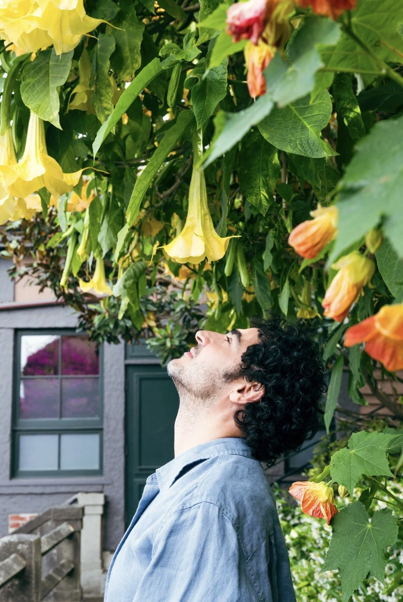 Christina Flach, San Francisco Celebrity Groomer — Zac Posen on Location