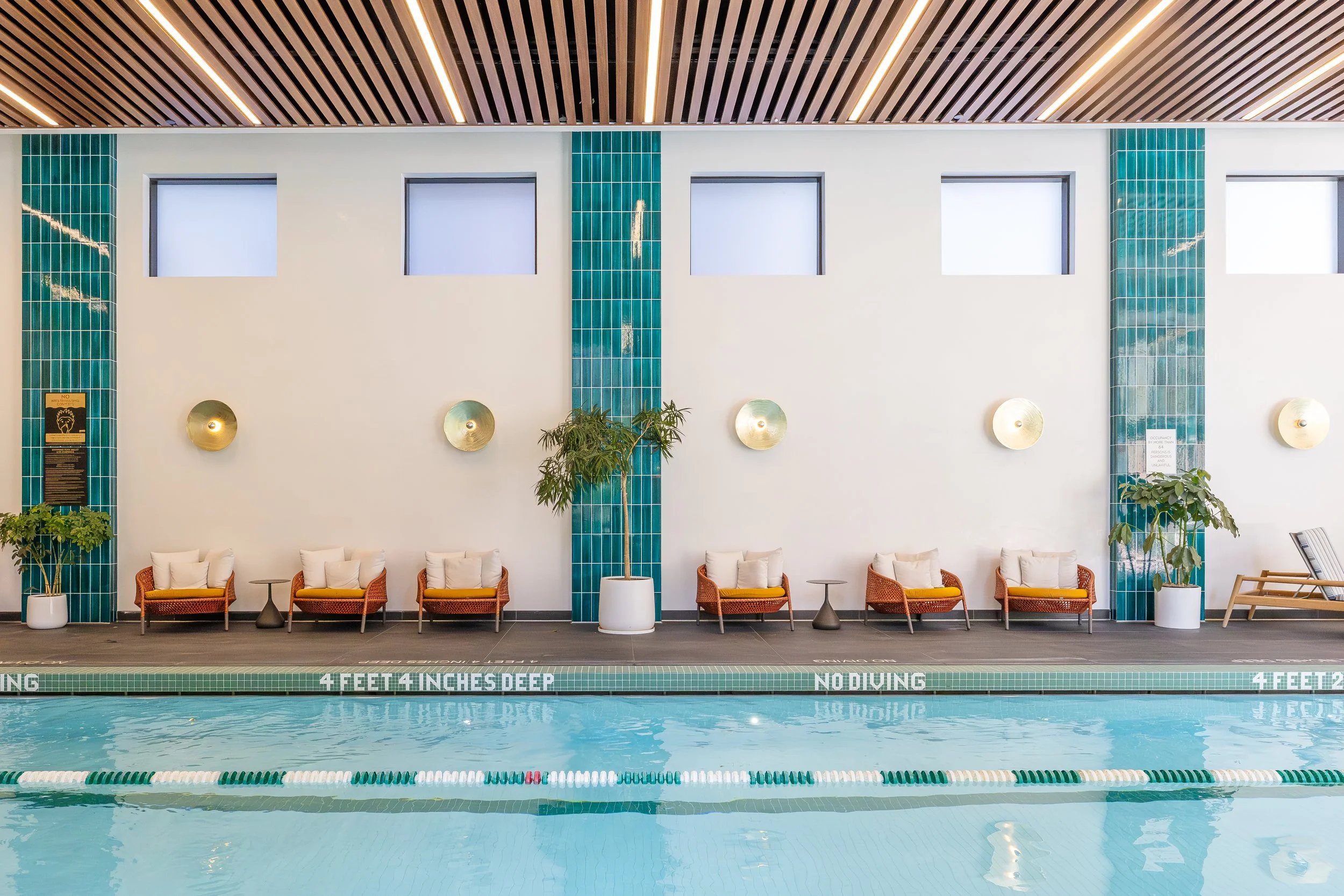 3G3A1549-Enhanced-NR.jpg (Copy)