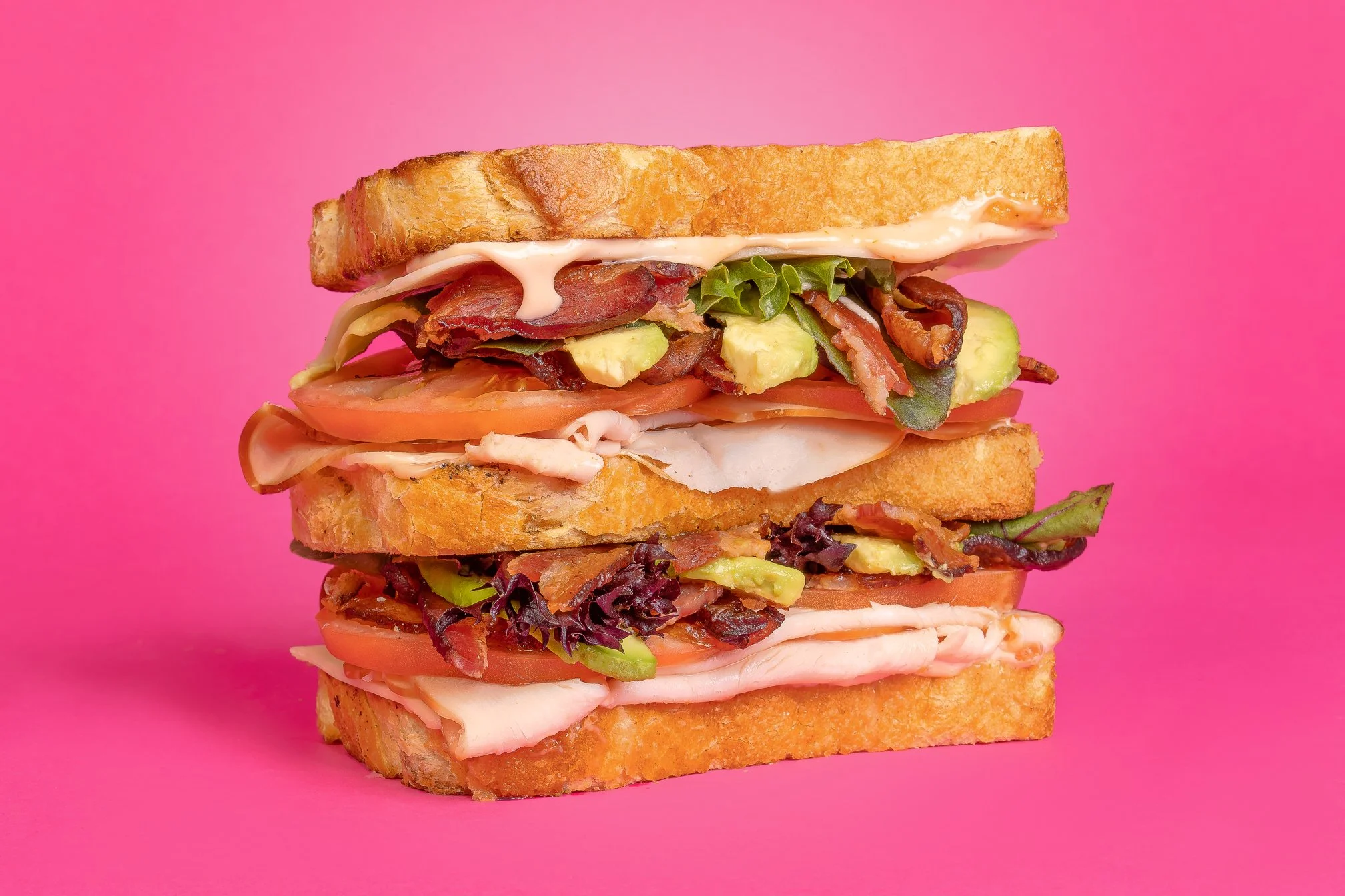 5E1A6731LightBackWeb.jpg (Copy)