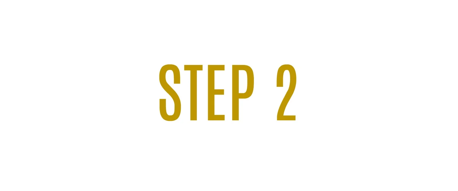 step2.jpg