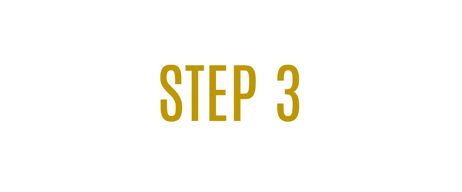 step3.jpg