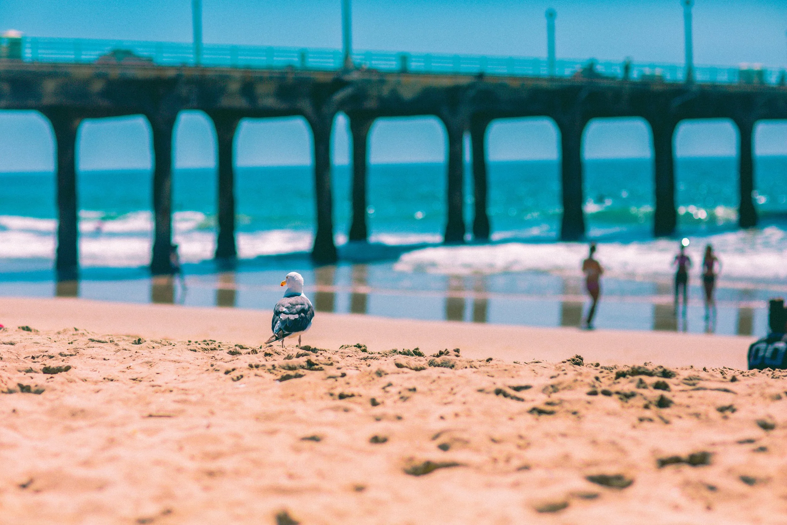 beach gang-2-small.jpg