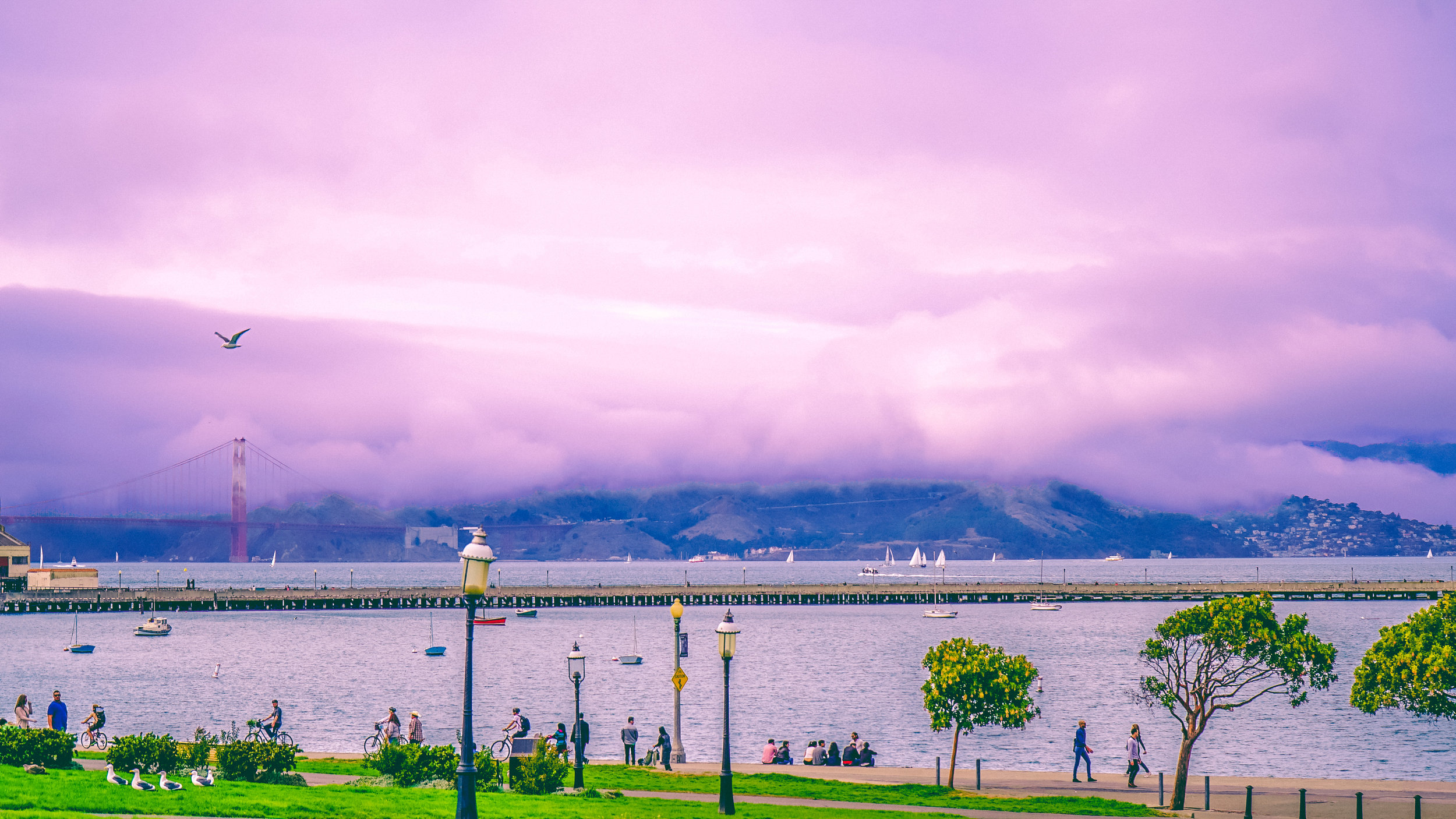 new san fran-2.jpg