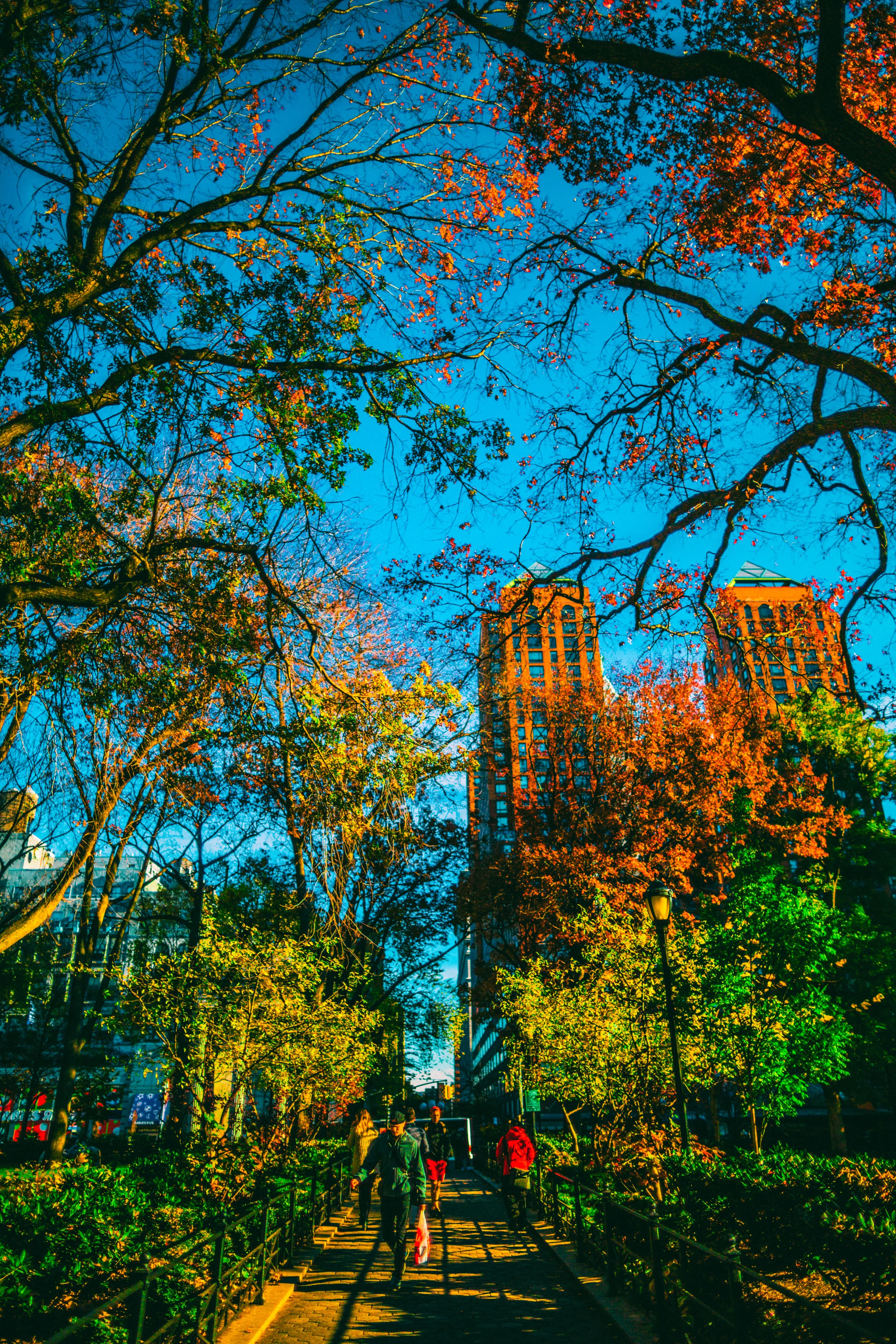 nyc 2-6.jpg