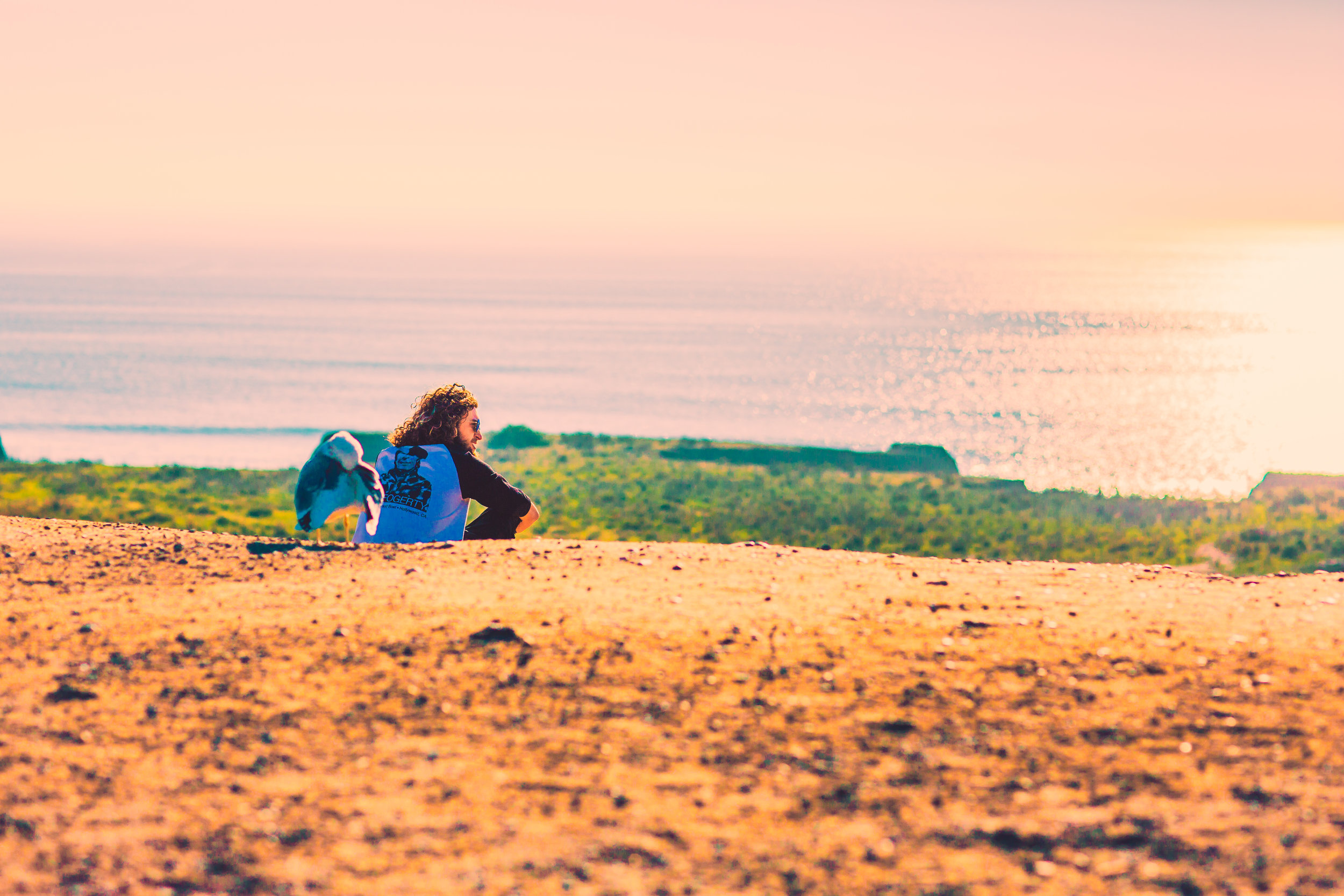 SD full quality-2.jpg