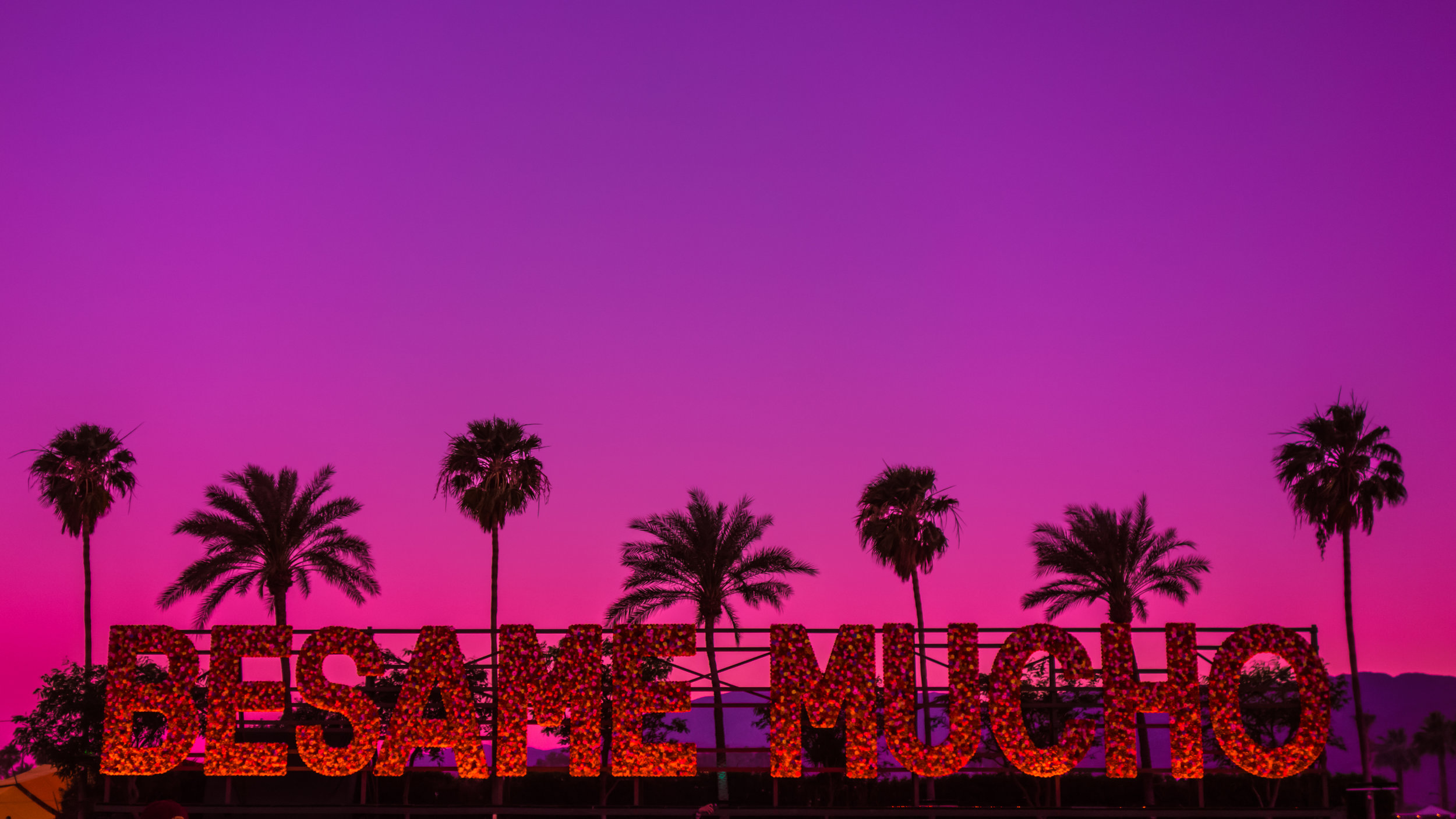 coachella sunday-15.jpg