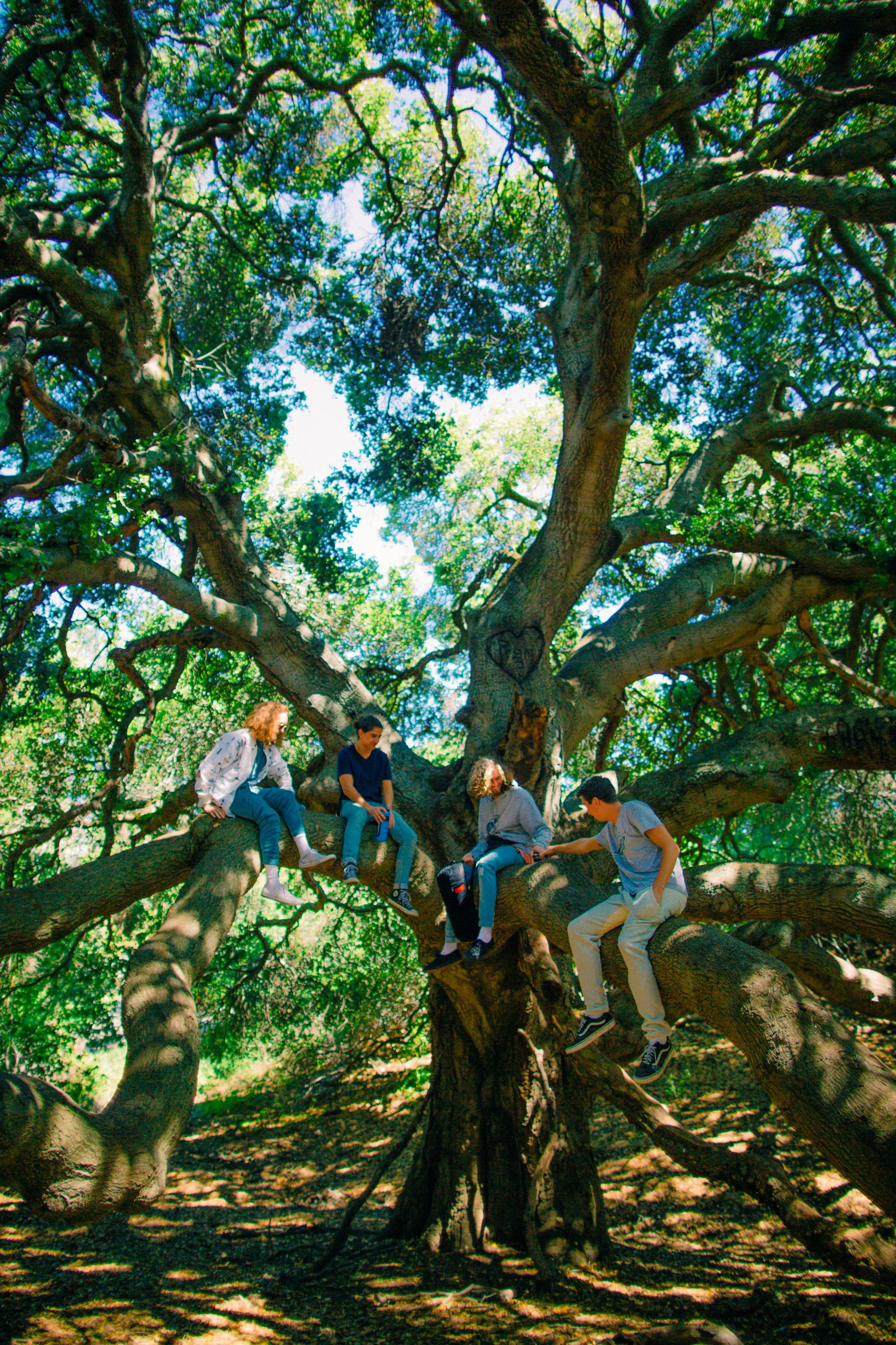 palo alto-5-small.jpg