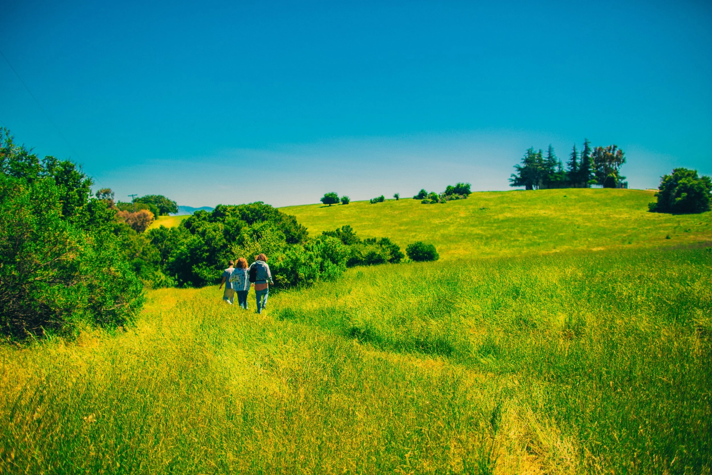 palo alto-4-small.jpg